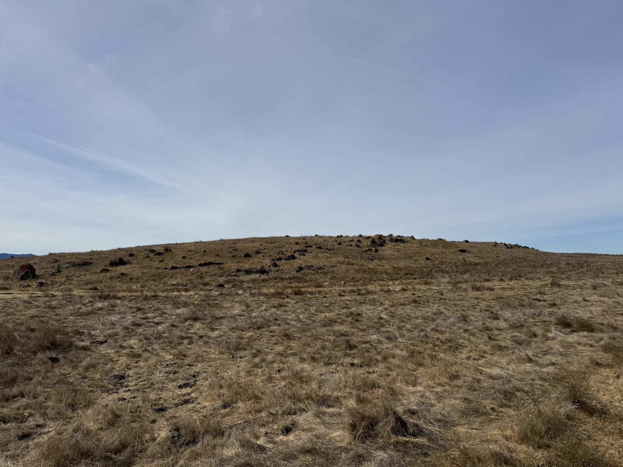 Tule Elk Trail