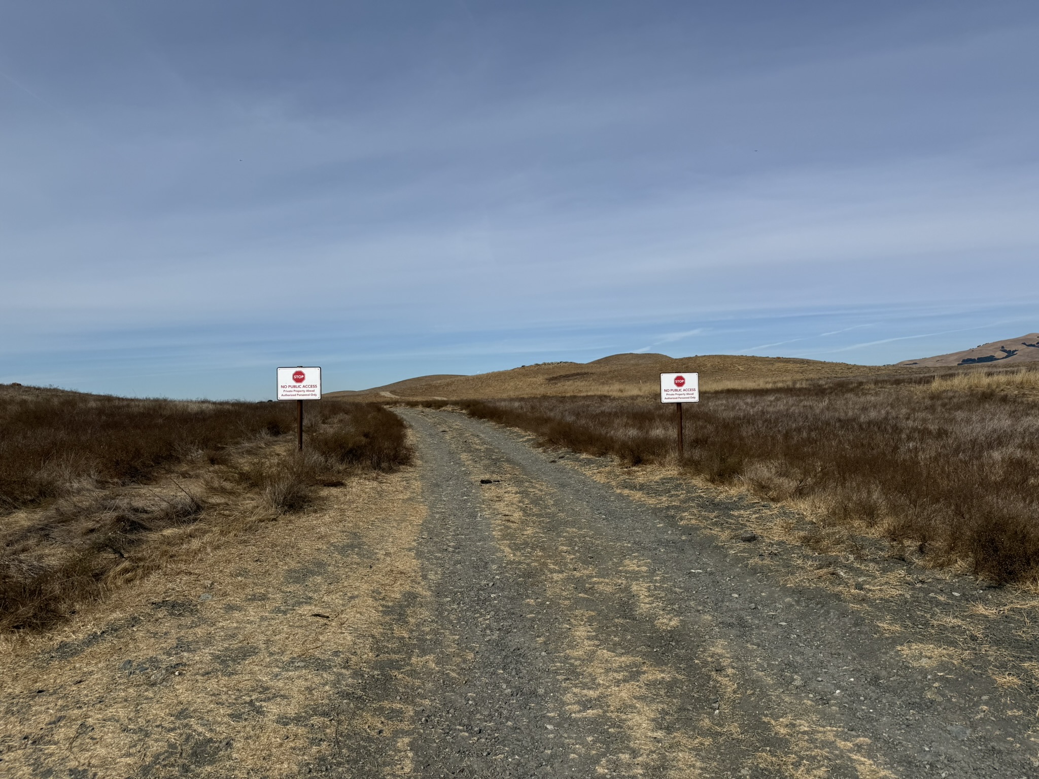 Tule Elk Trail