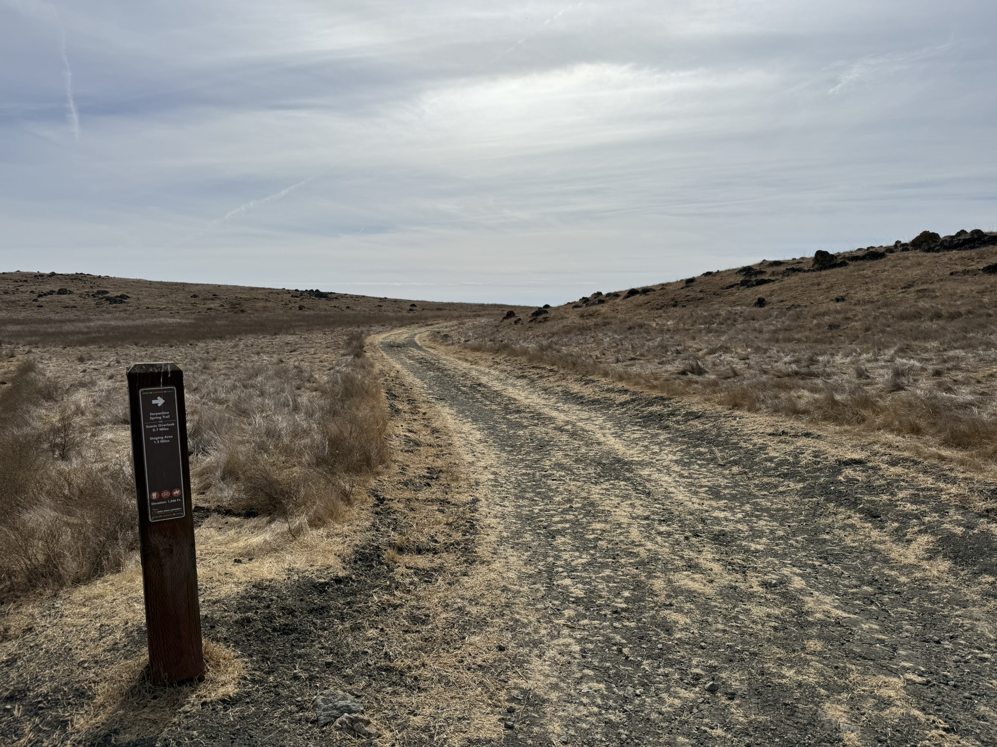 Serpentine Spring Trail