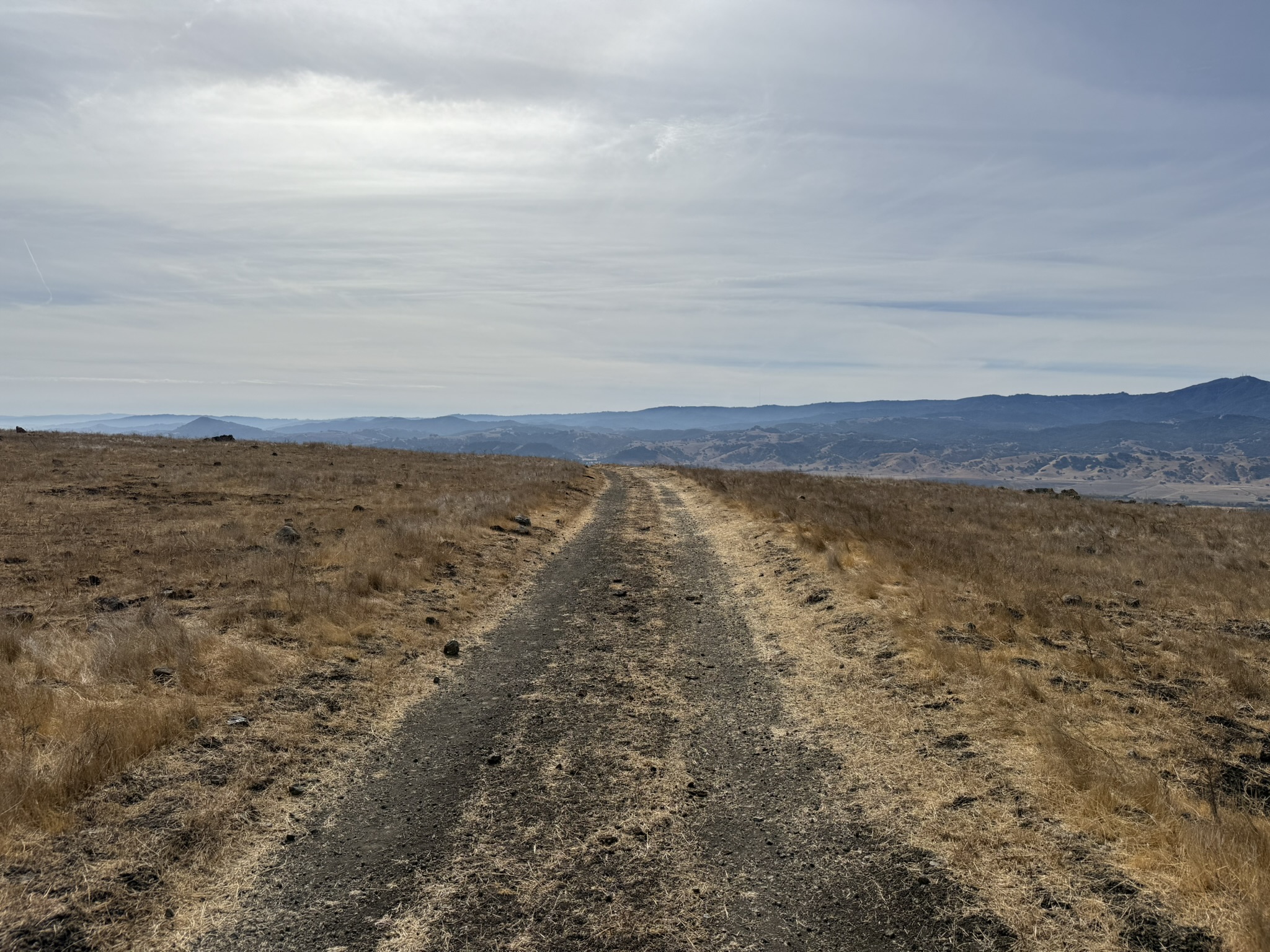 Serpentine Spring Trail