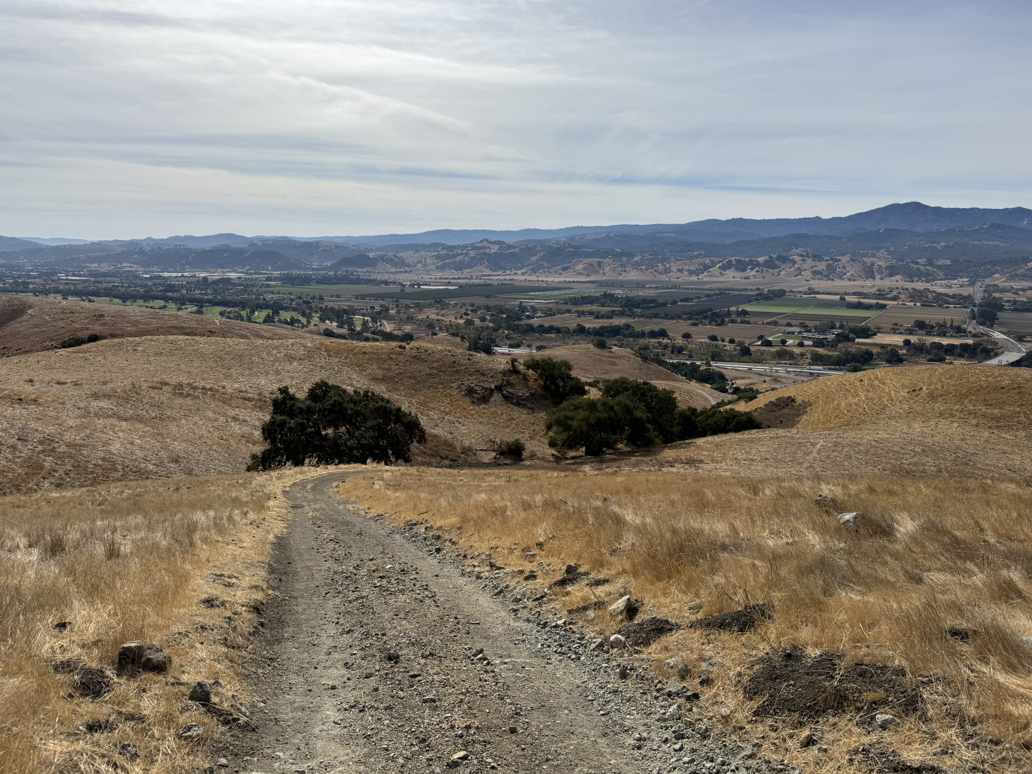 Serpentine Spring Trail