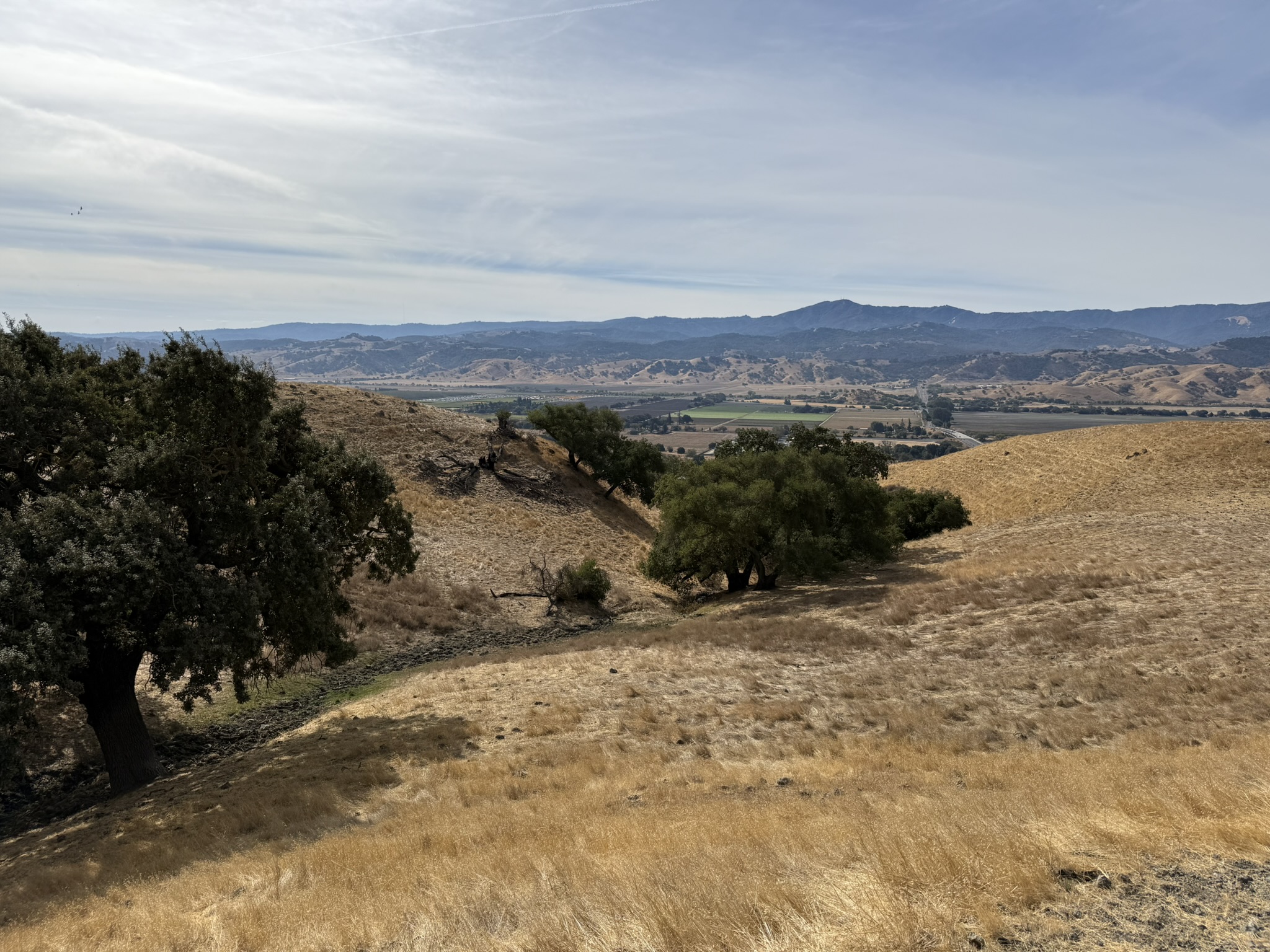 Serpentine Spring Trail