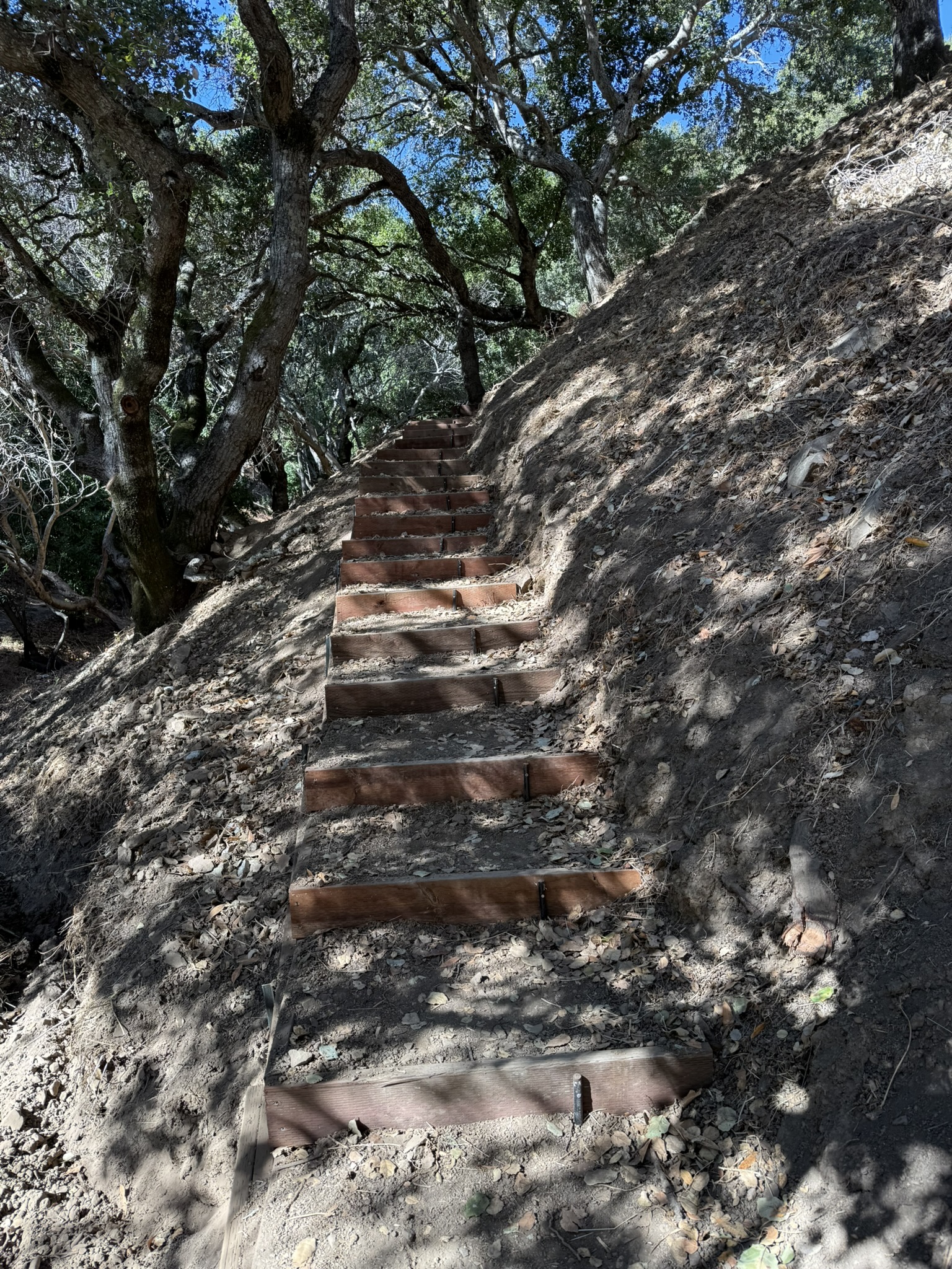 Oak Meadow Loop Trail