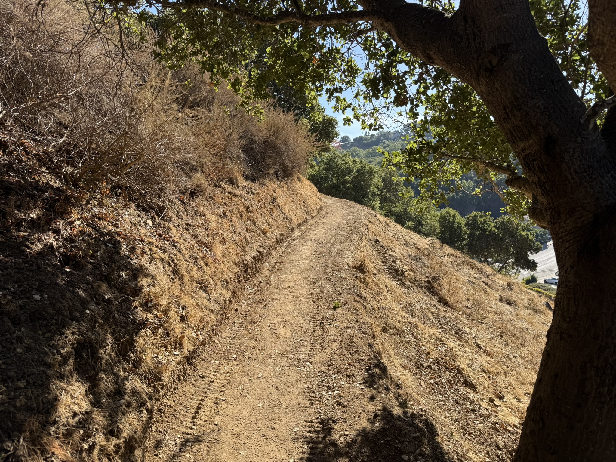 Oak Meadow Loop Trail