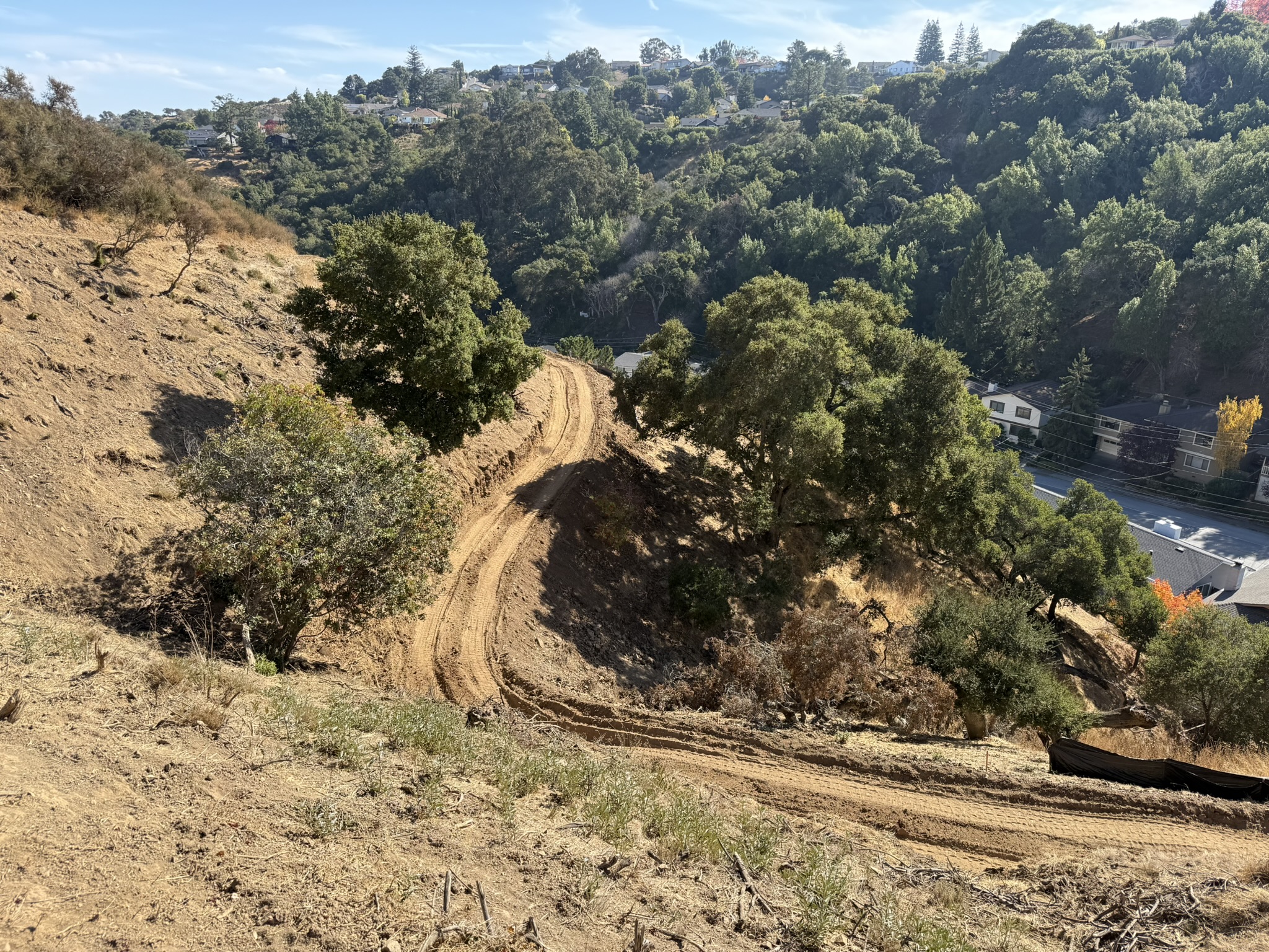 Oak Meadow Loop Trail