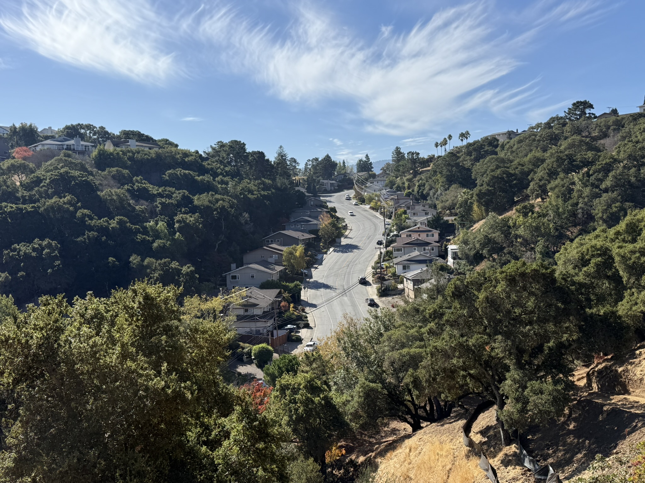 Oak Meadow Loop Trail