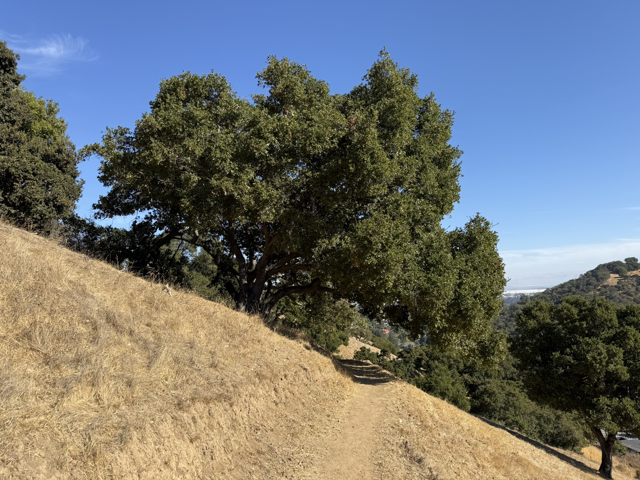 Oak Meadow Loop Trail