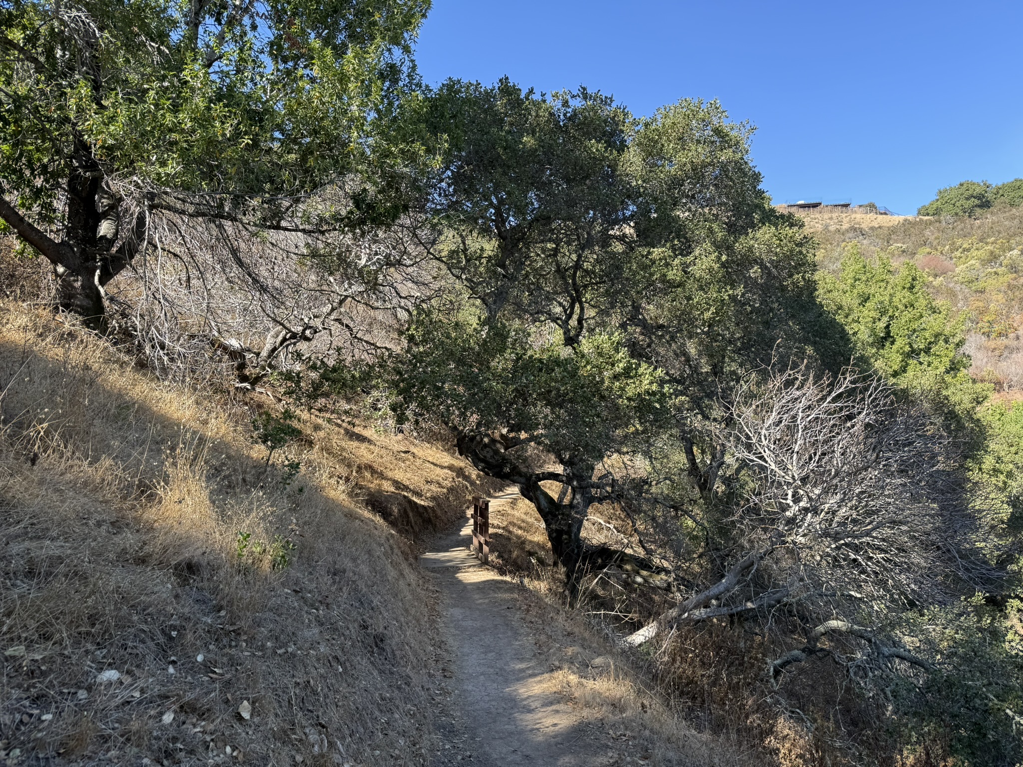 Oak Meadow Loop Trail