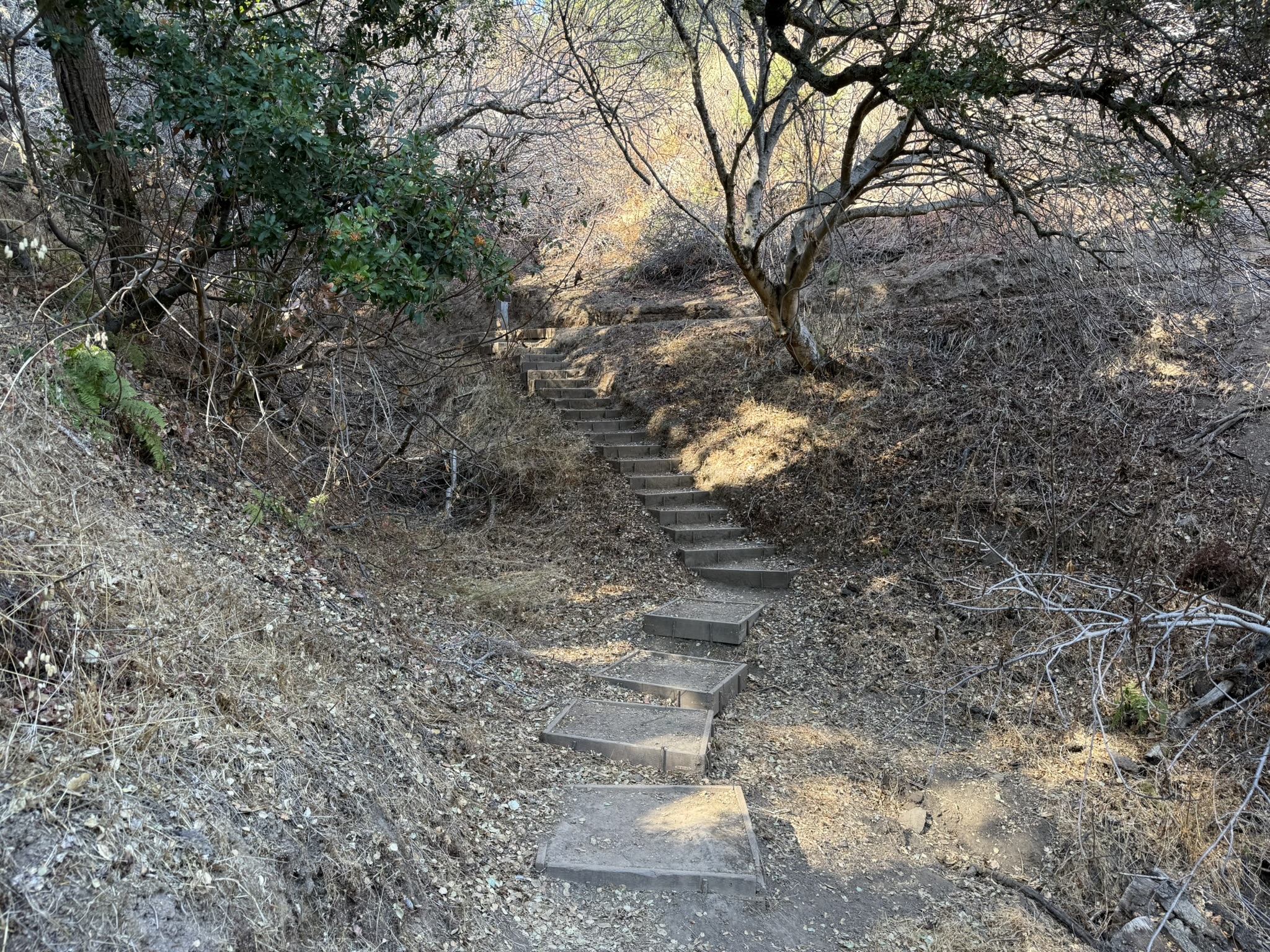 Oak Meadow Loop Trail