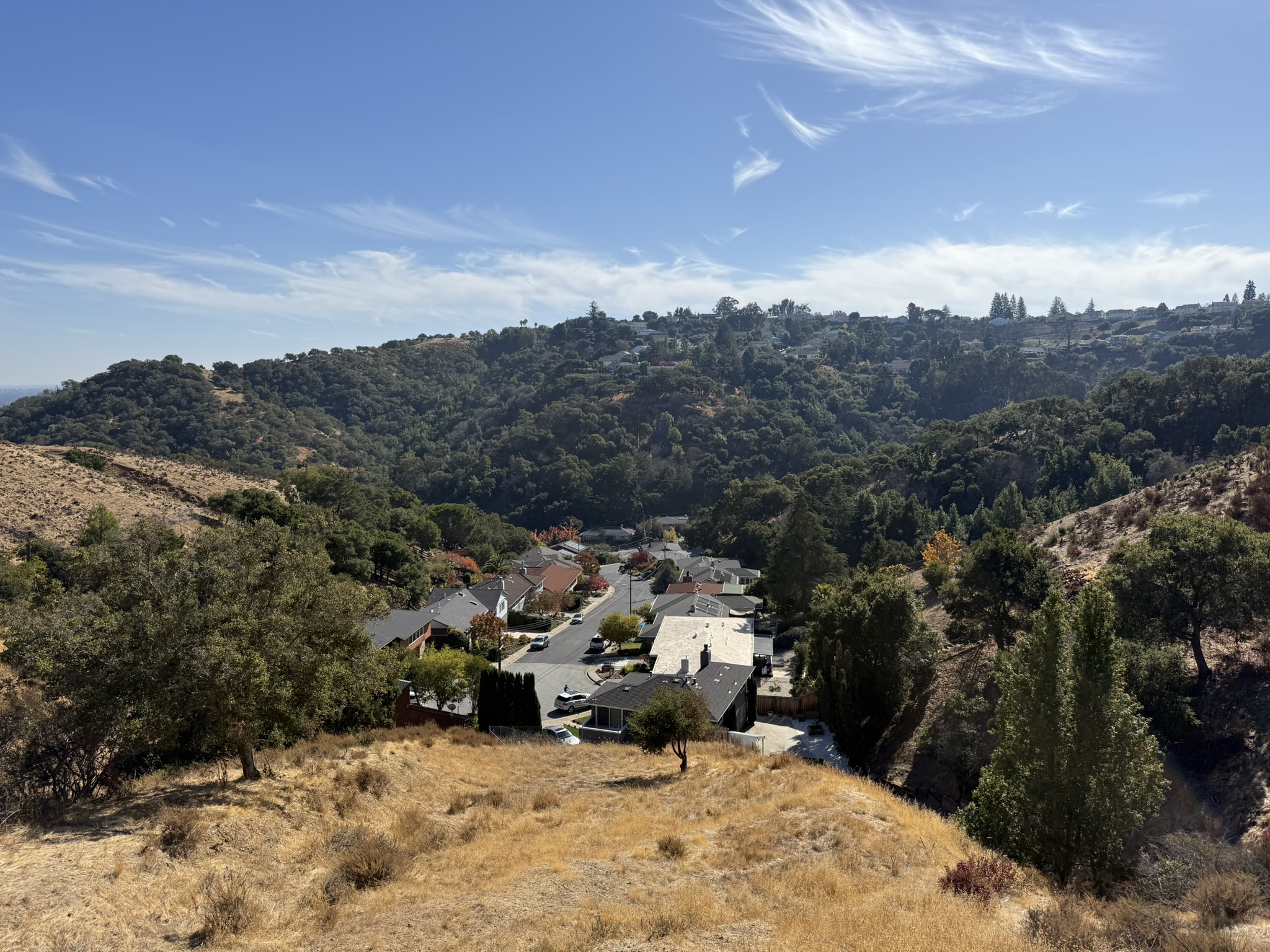 Oak Meadow Loop Trail