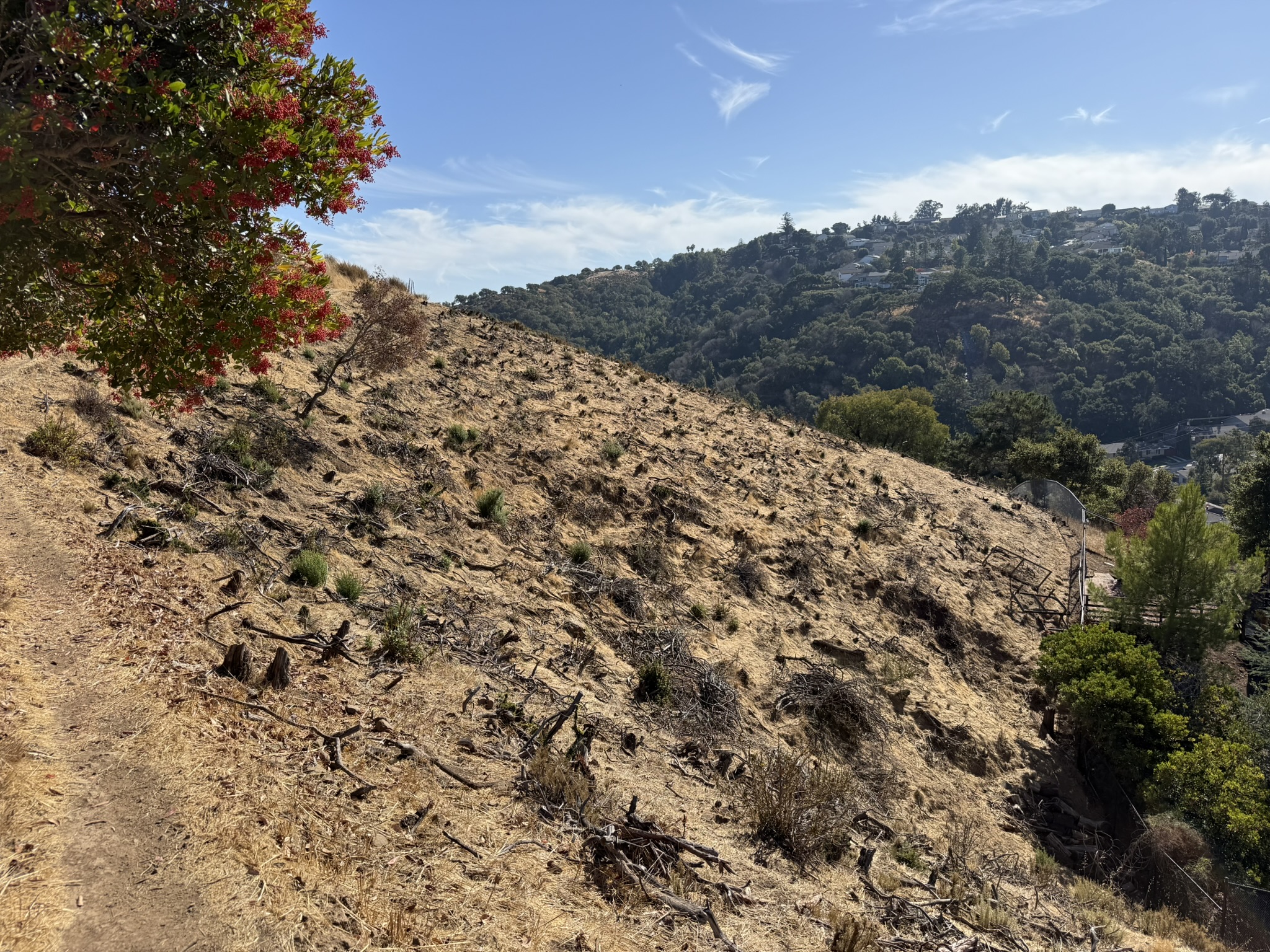 Oak Meadow Loop Trail