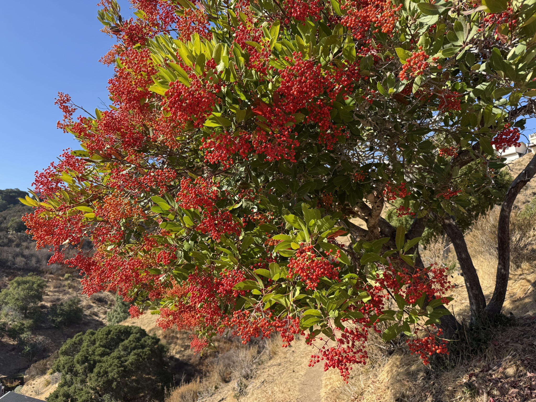 Oak Meadow Loop Trail