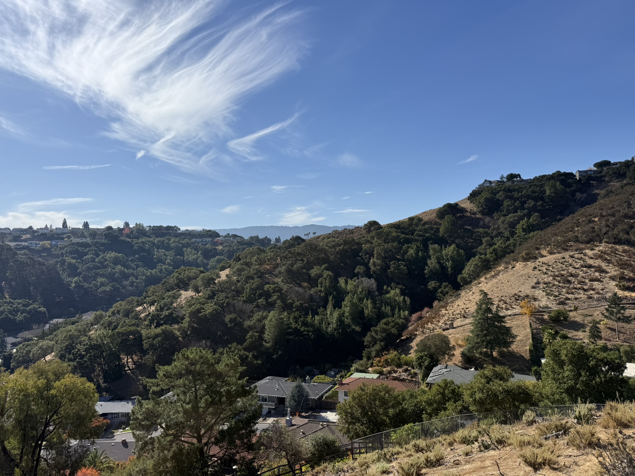 Oak Meadow Loop Trail