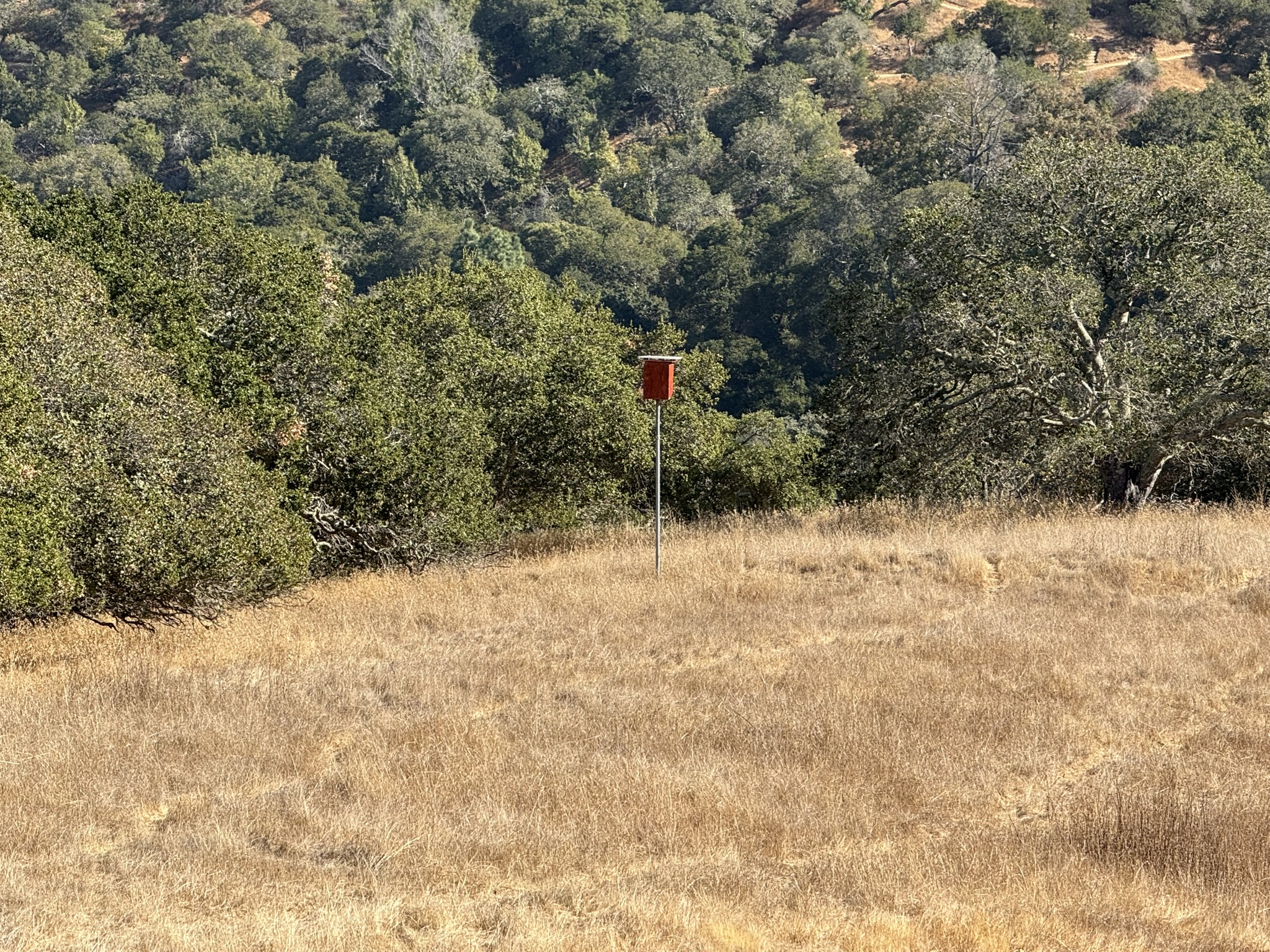 Oak Meadow Loop Trail