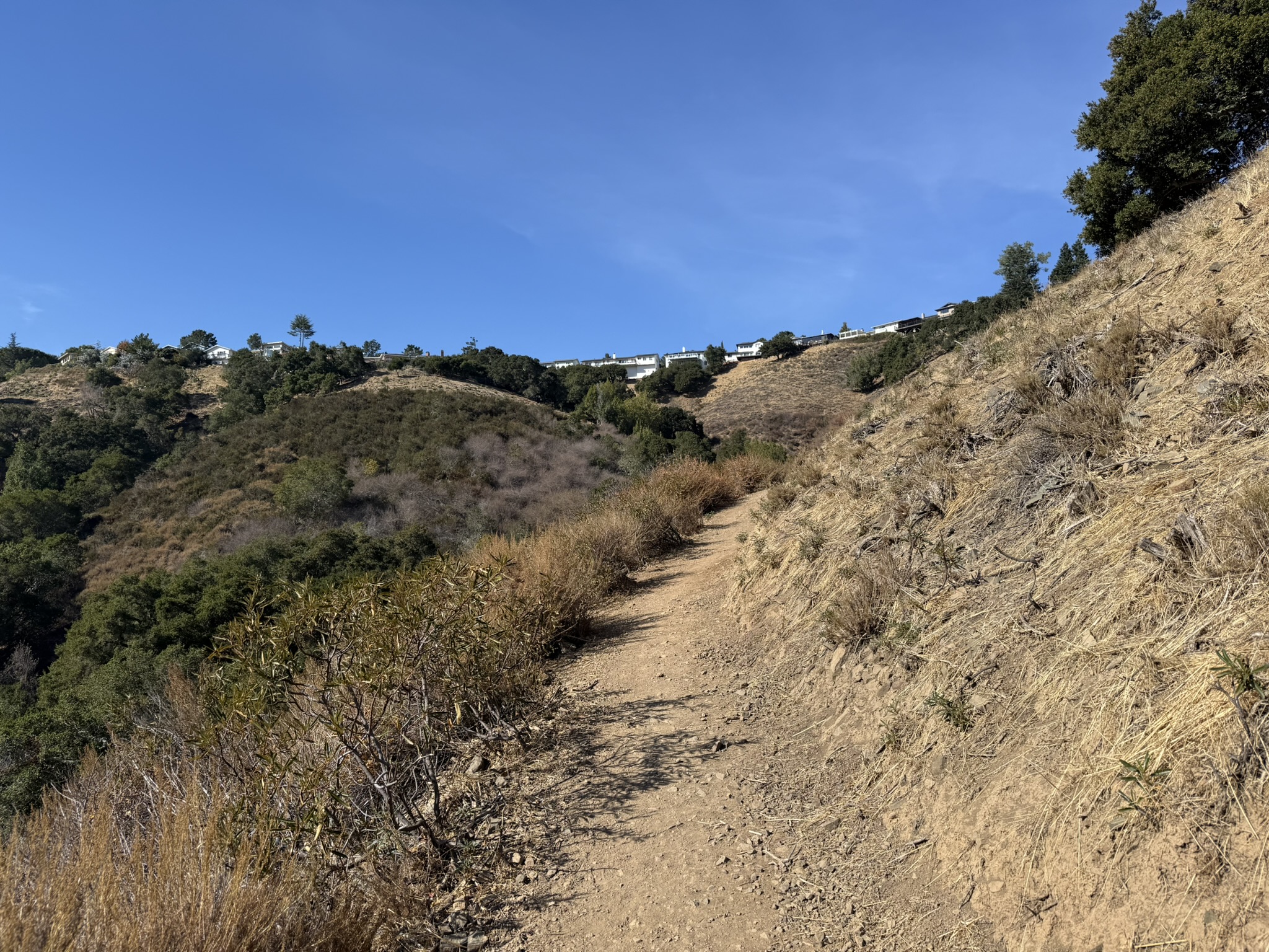 Oak Meadow Loop Trail