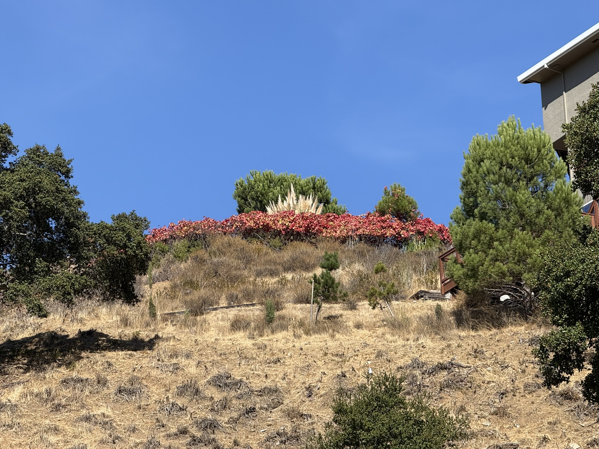 Oak Meadow Loop Trail