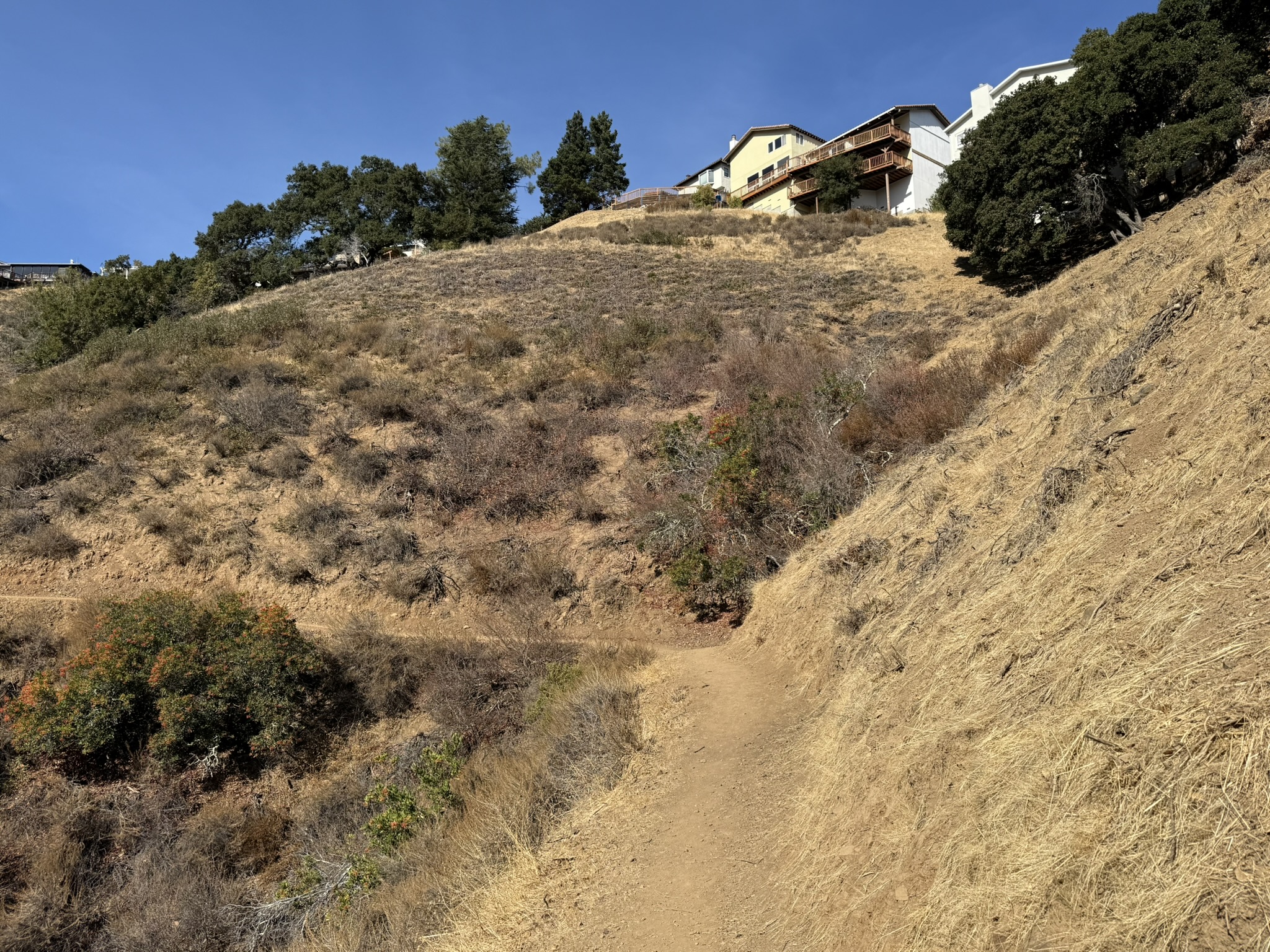 Oak Meadow Loop Trail