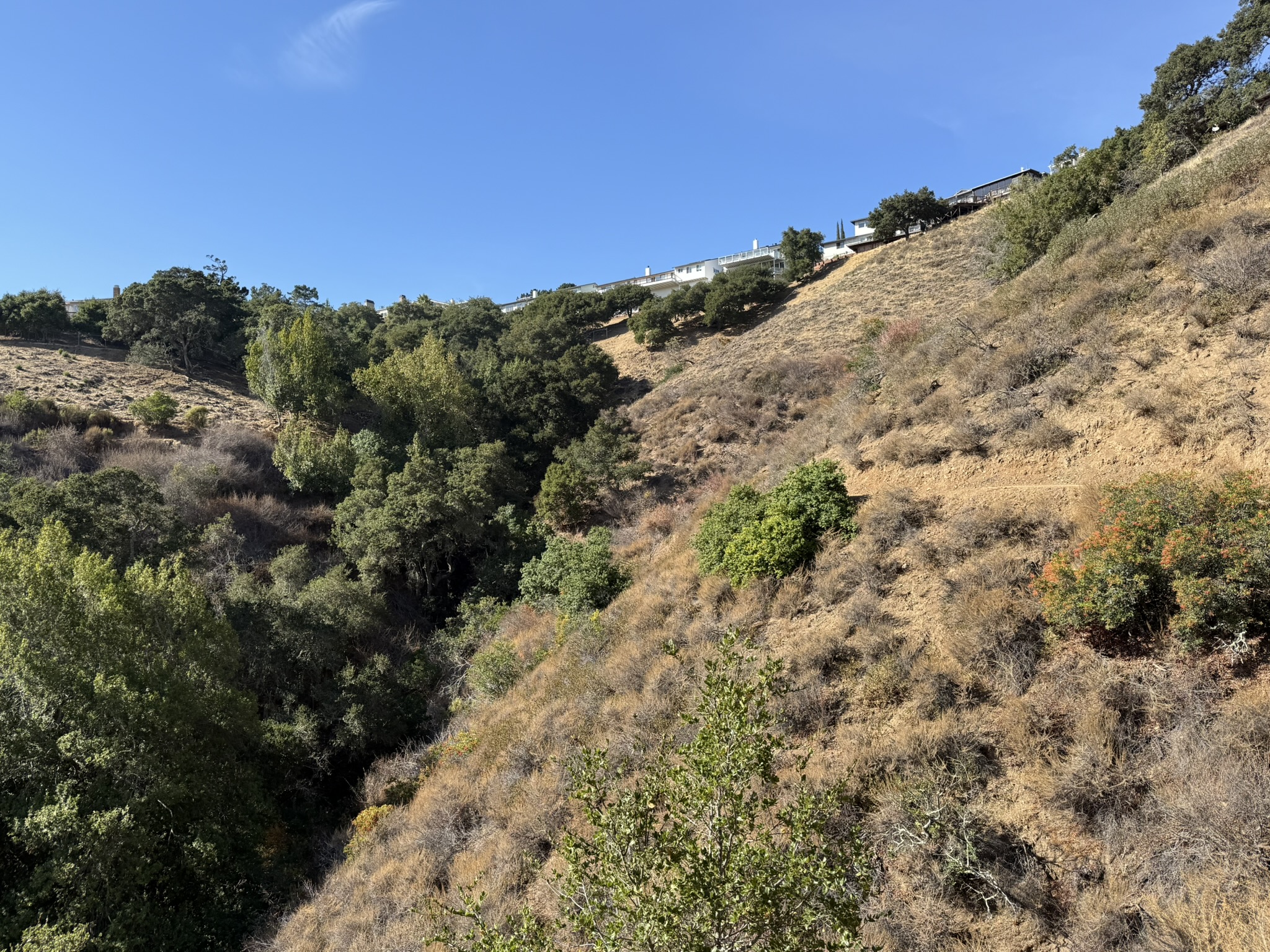 Oak Meadow Loop Trail