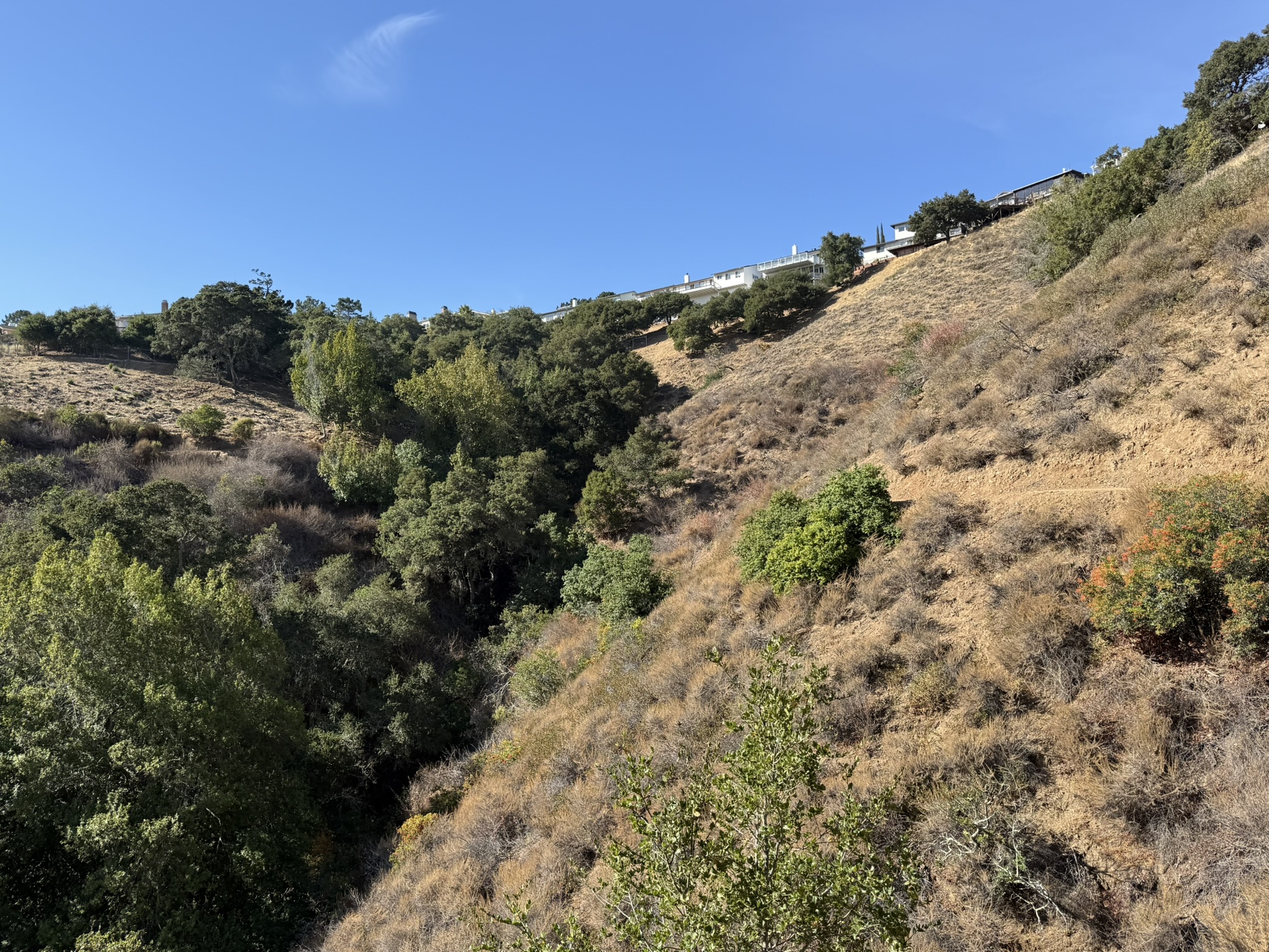 Oak Meadow Loop Trail