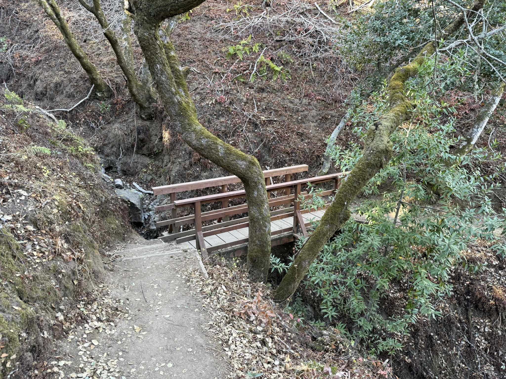 Harold Drake Trail