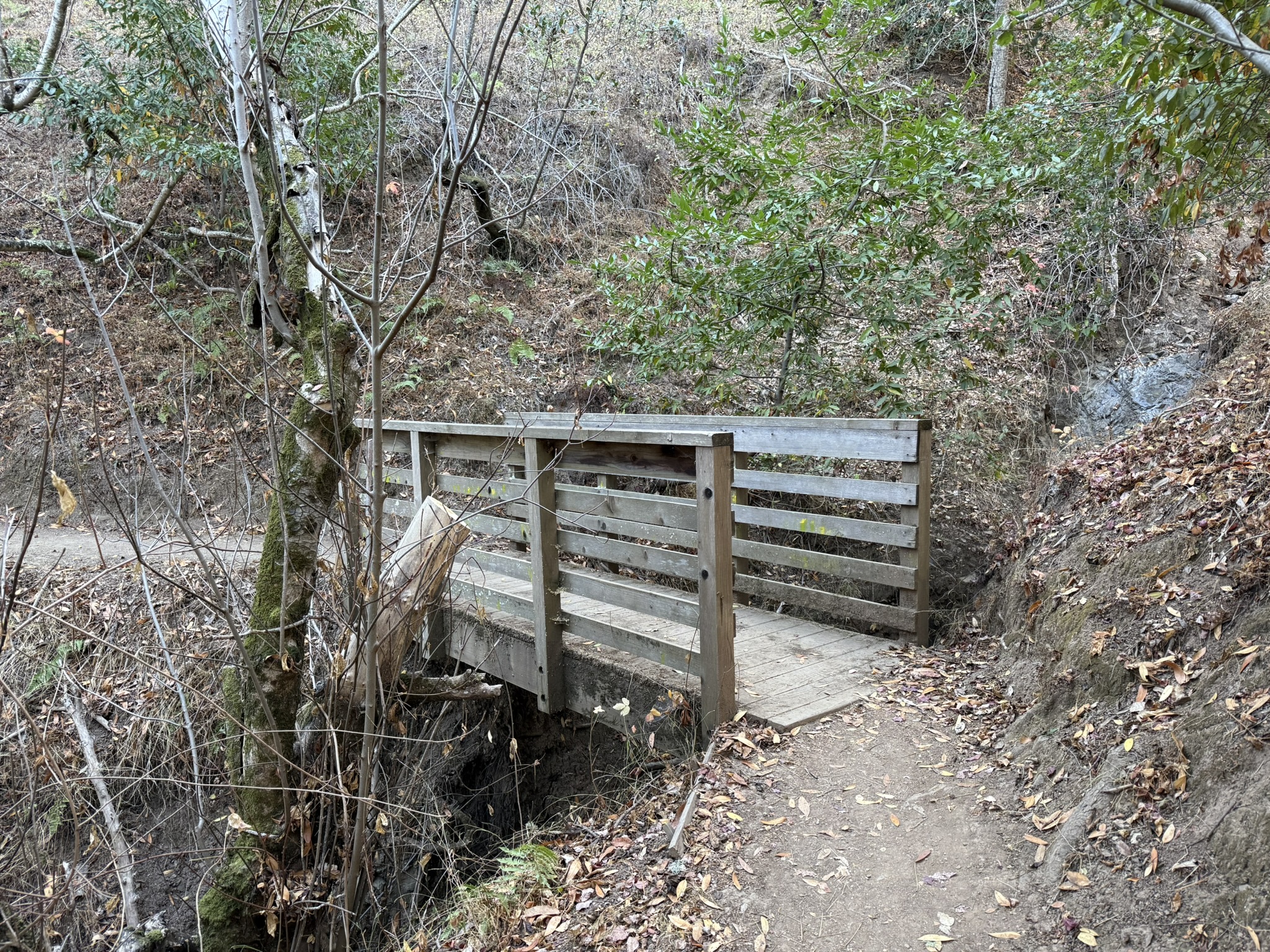 Eaton Trail