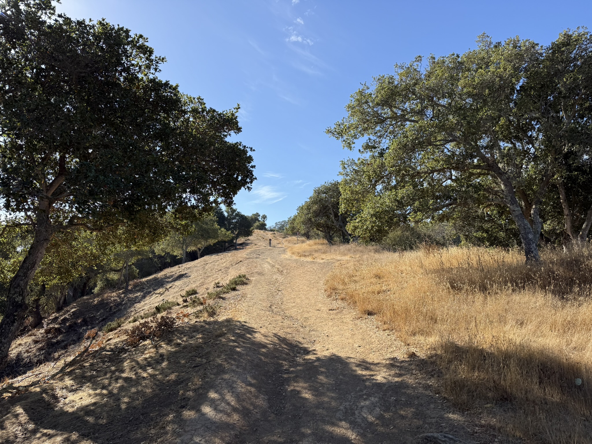 Hawk Hill Trail