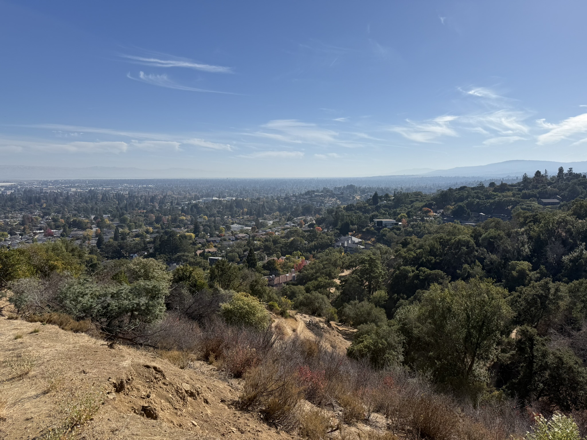 Vista Trail