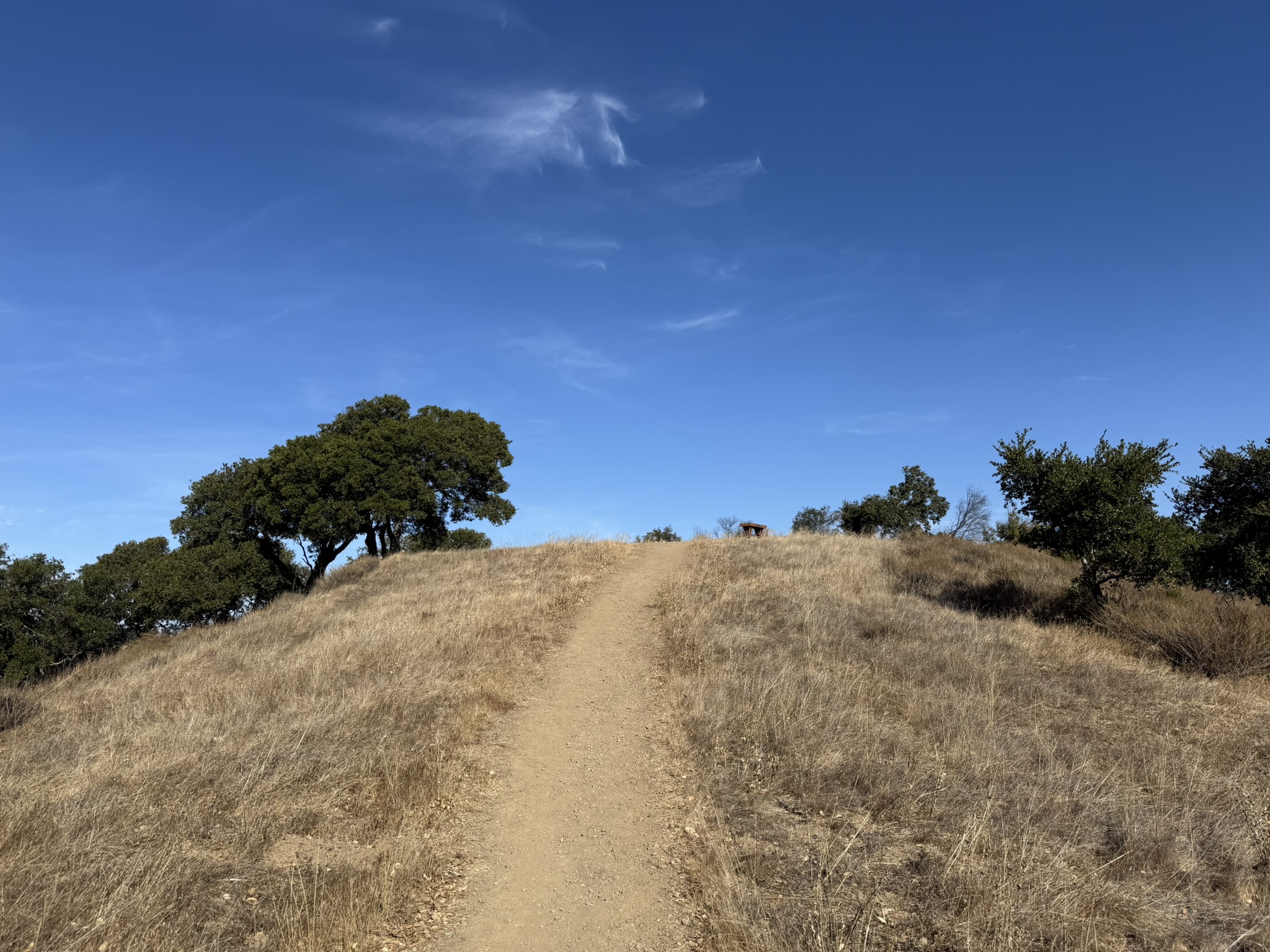 Hawk Hill Vista