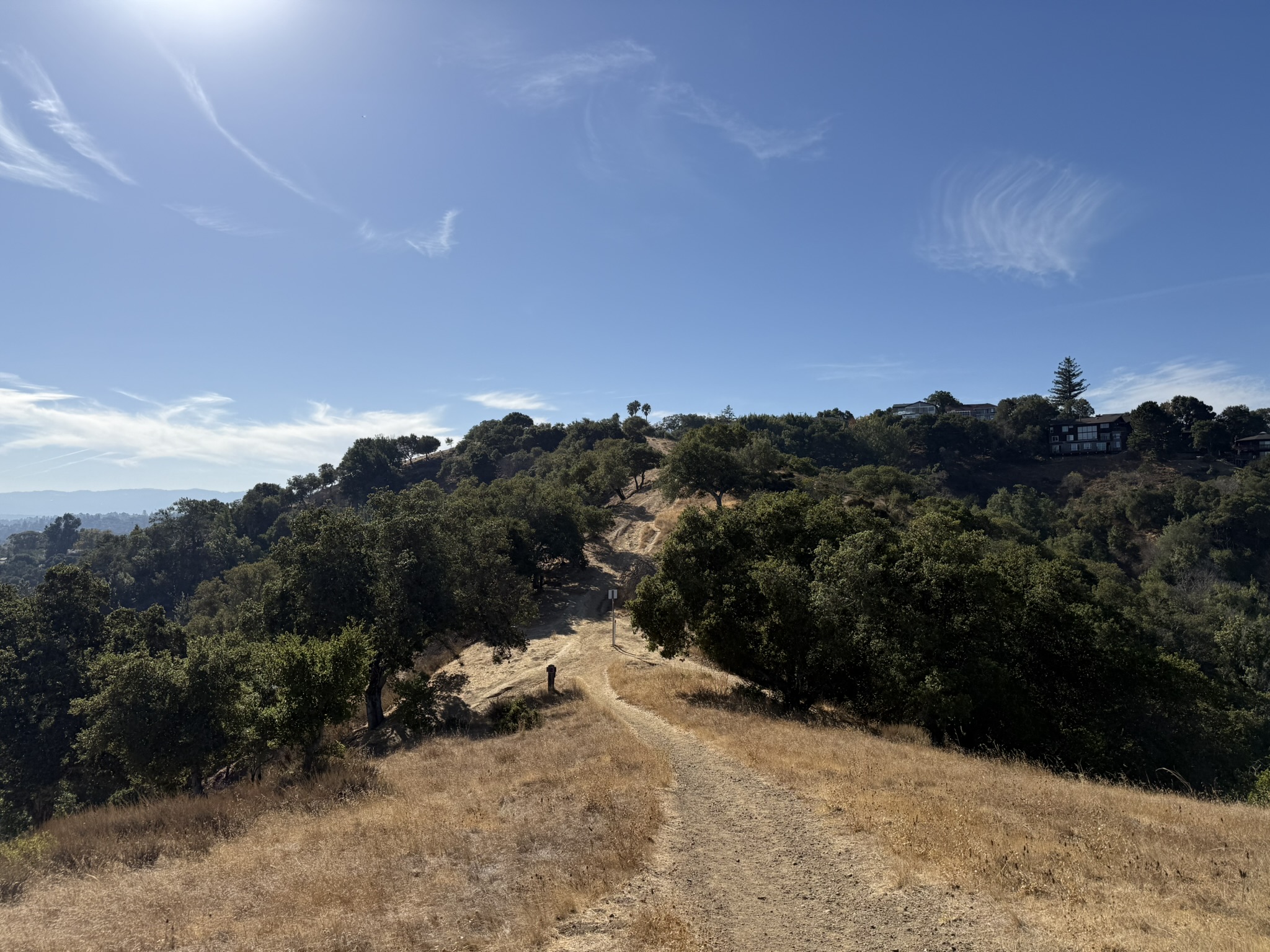 Hawk Hill Vista