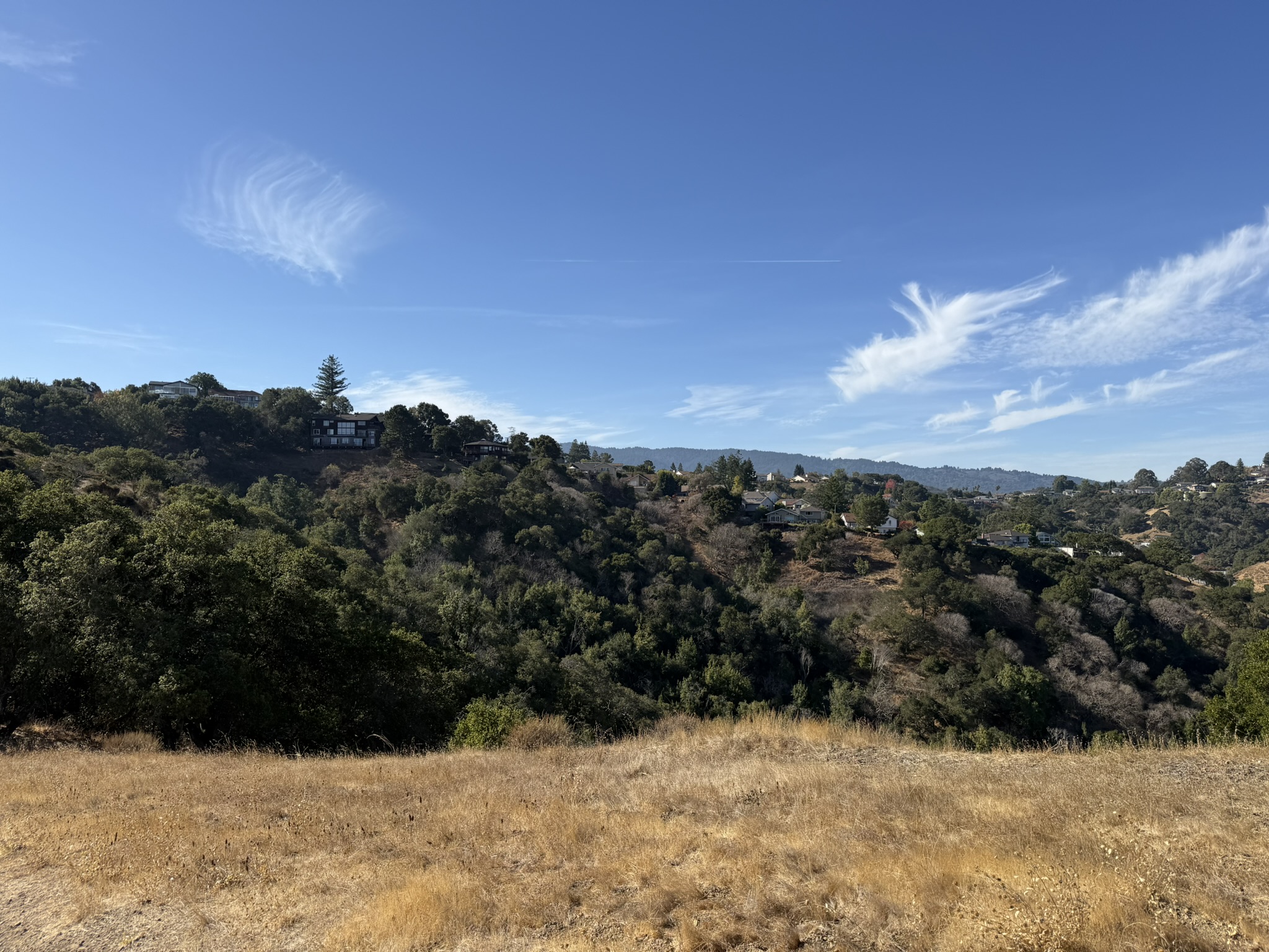 Hawk Hill Vista