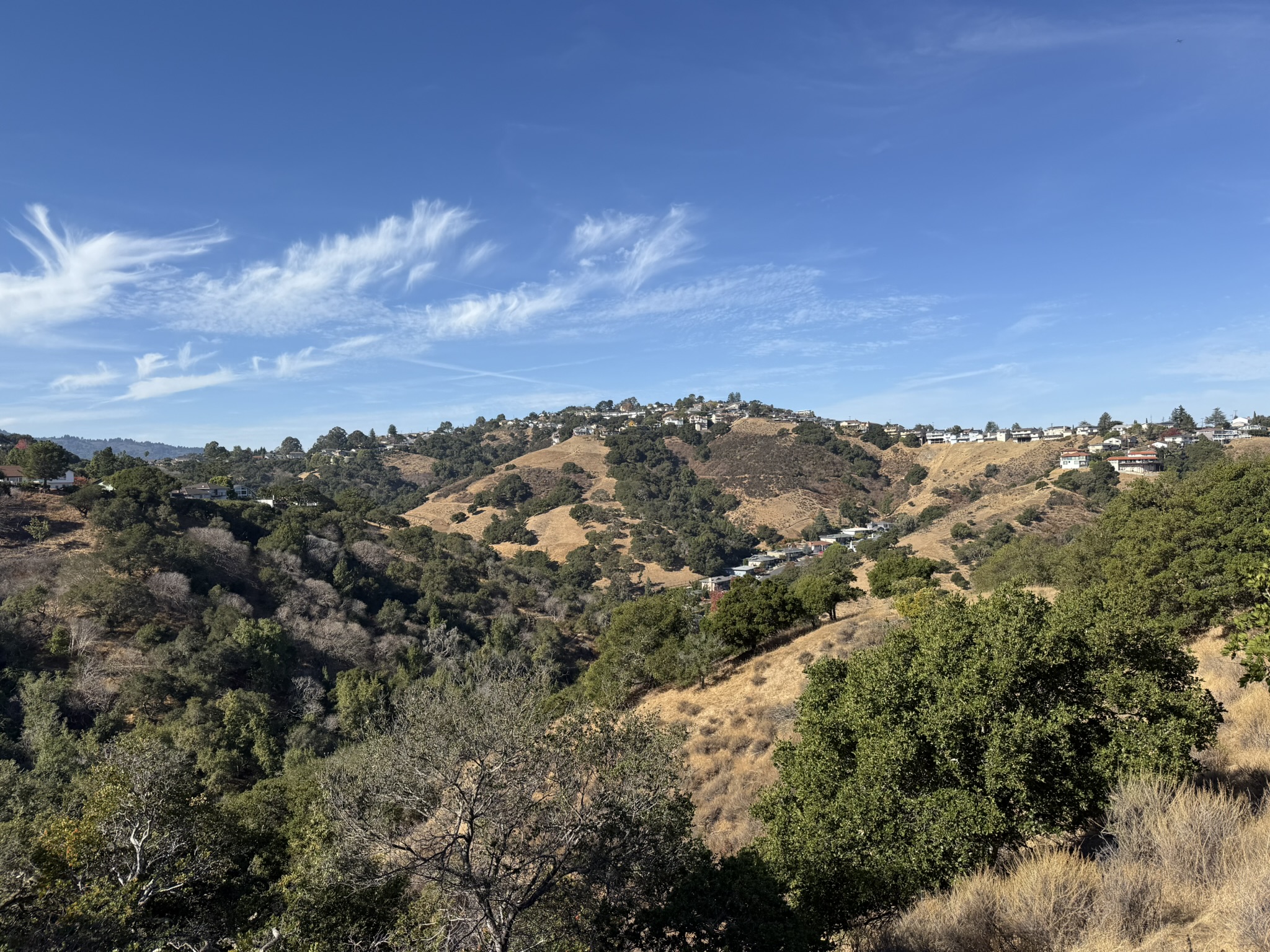 Hawk Hill Vista