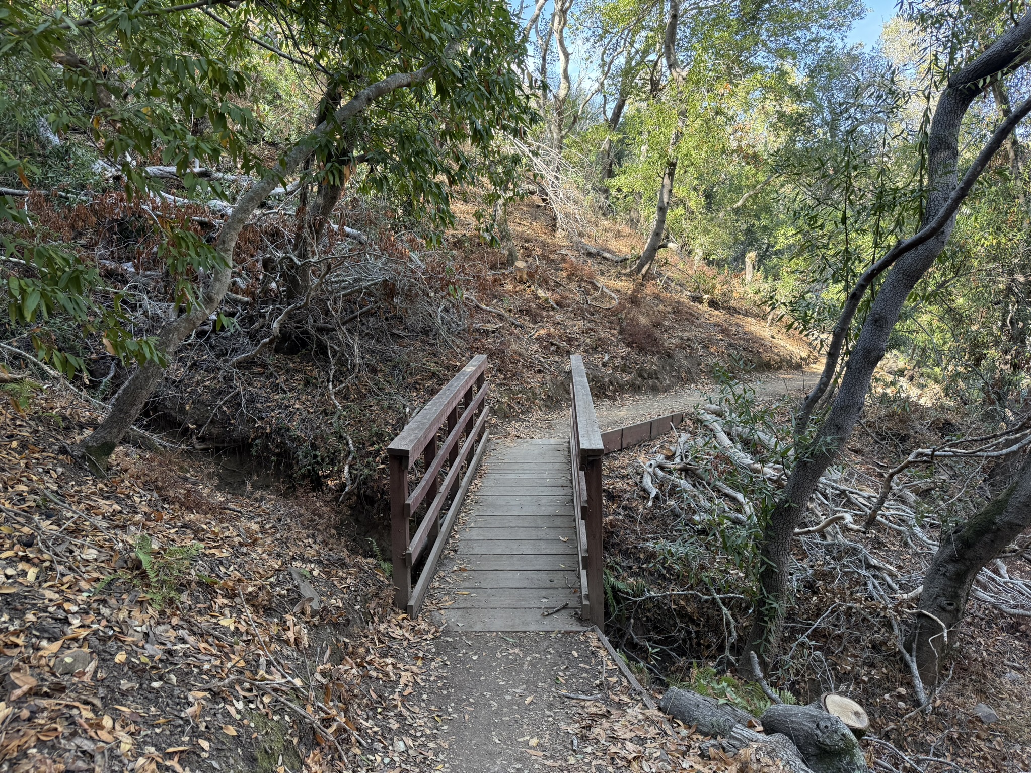 4 Bridges Trail