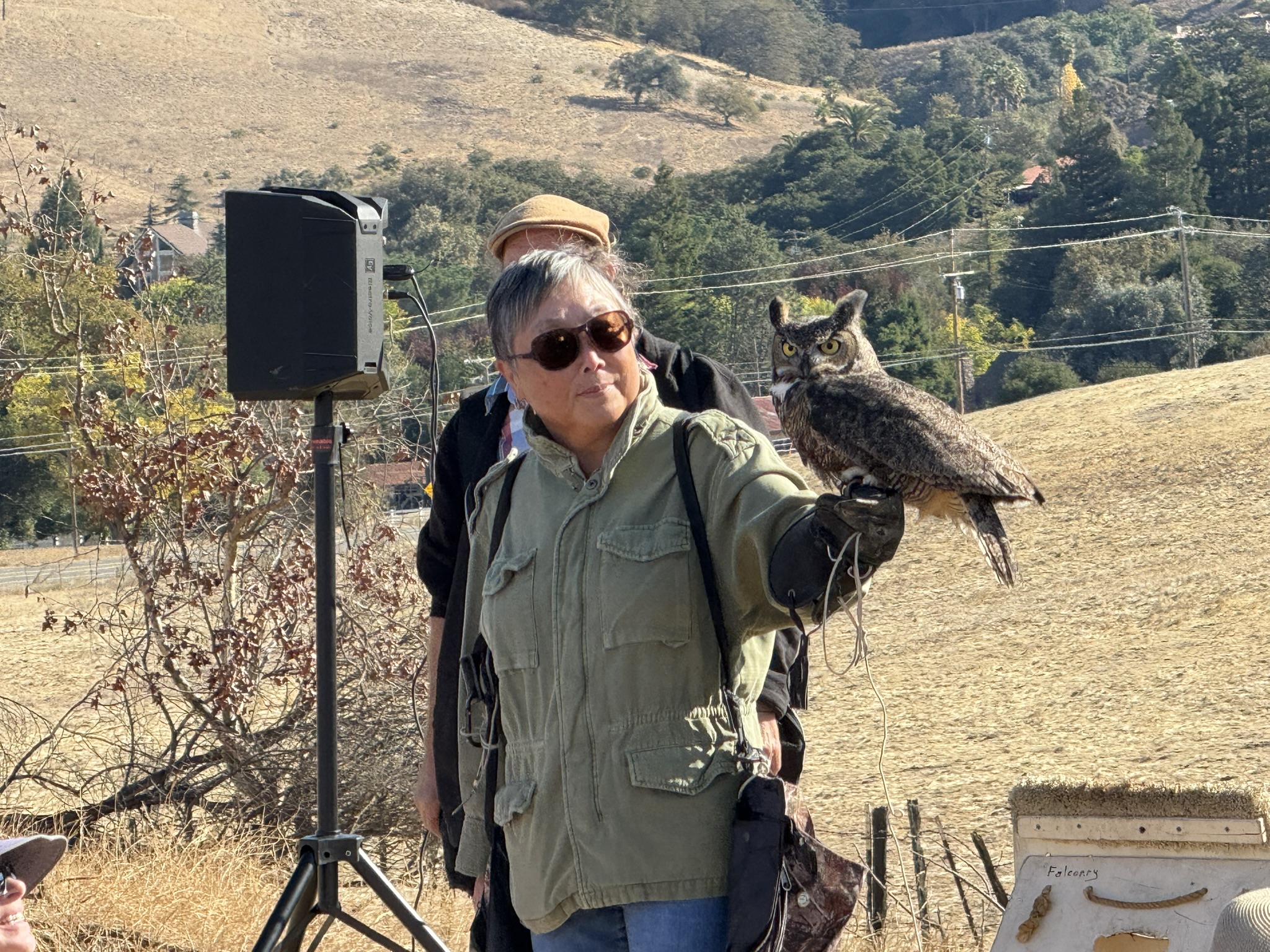 Great Horned Owl