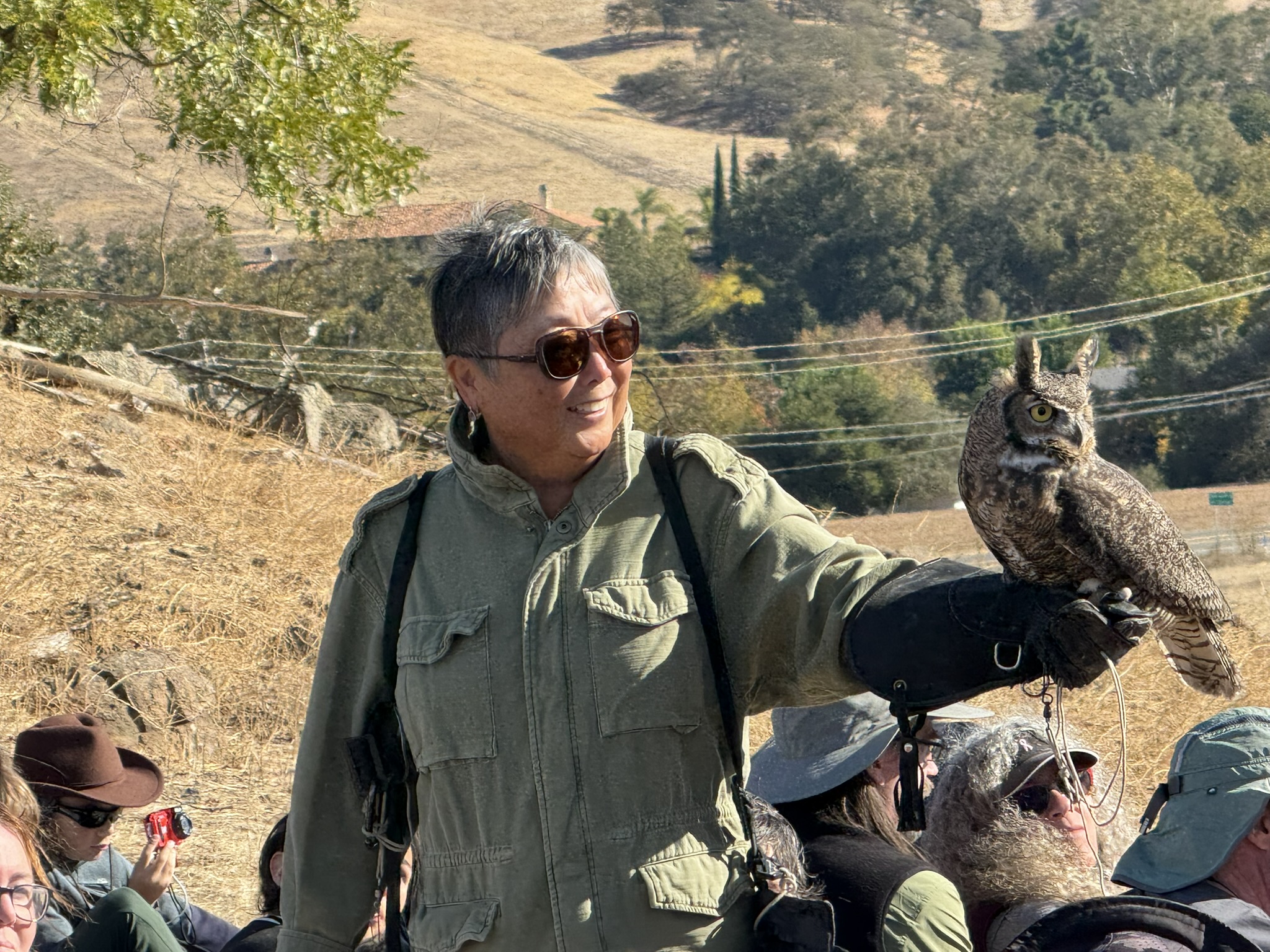 Great Horned Owl