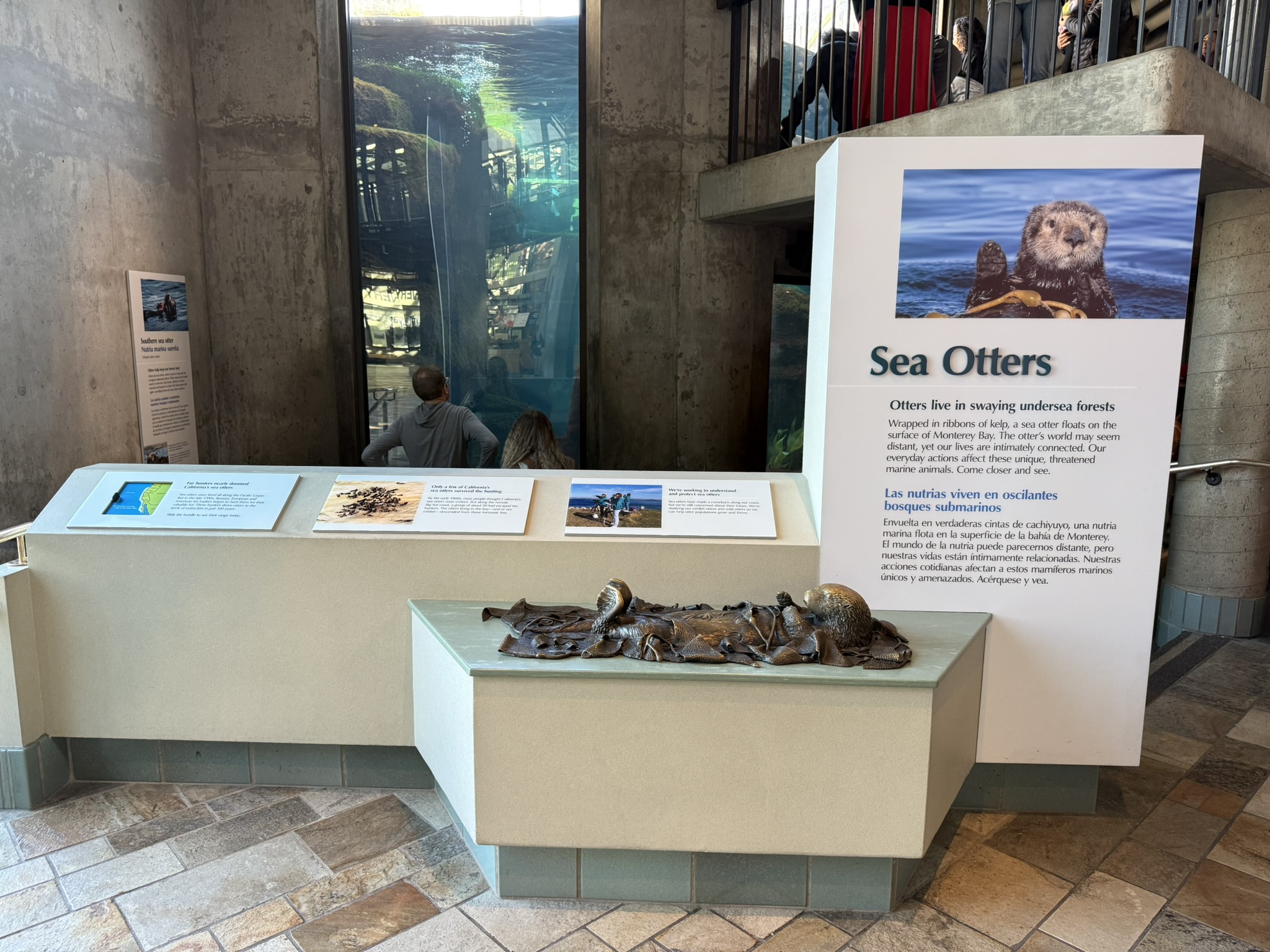 Monterey Bay Aquarium