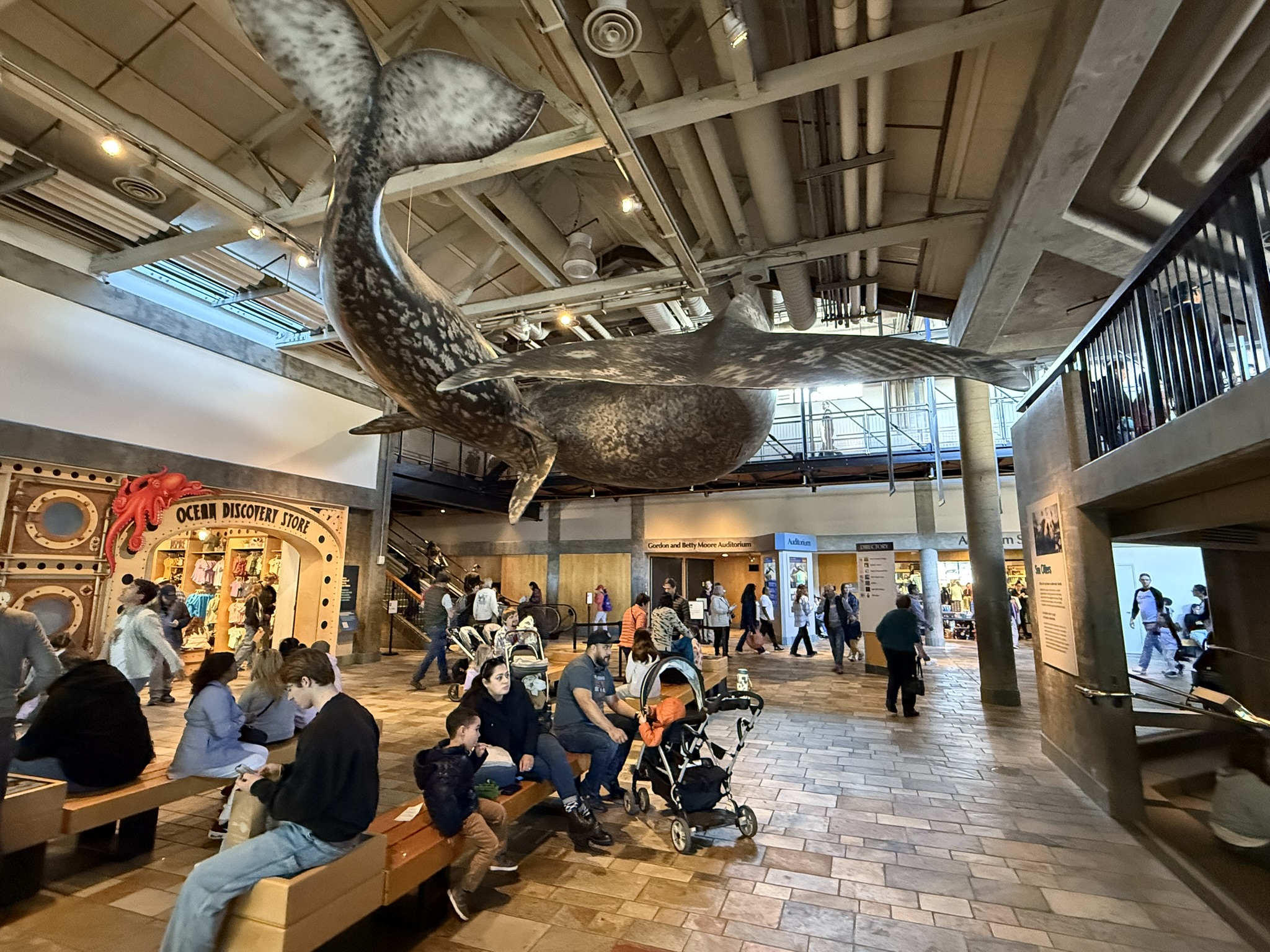 Monterey Bay Aquarium