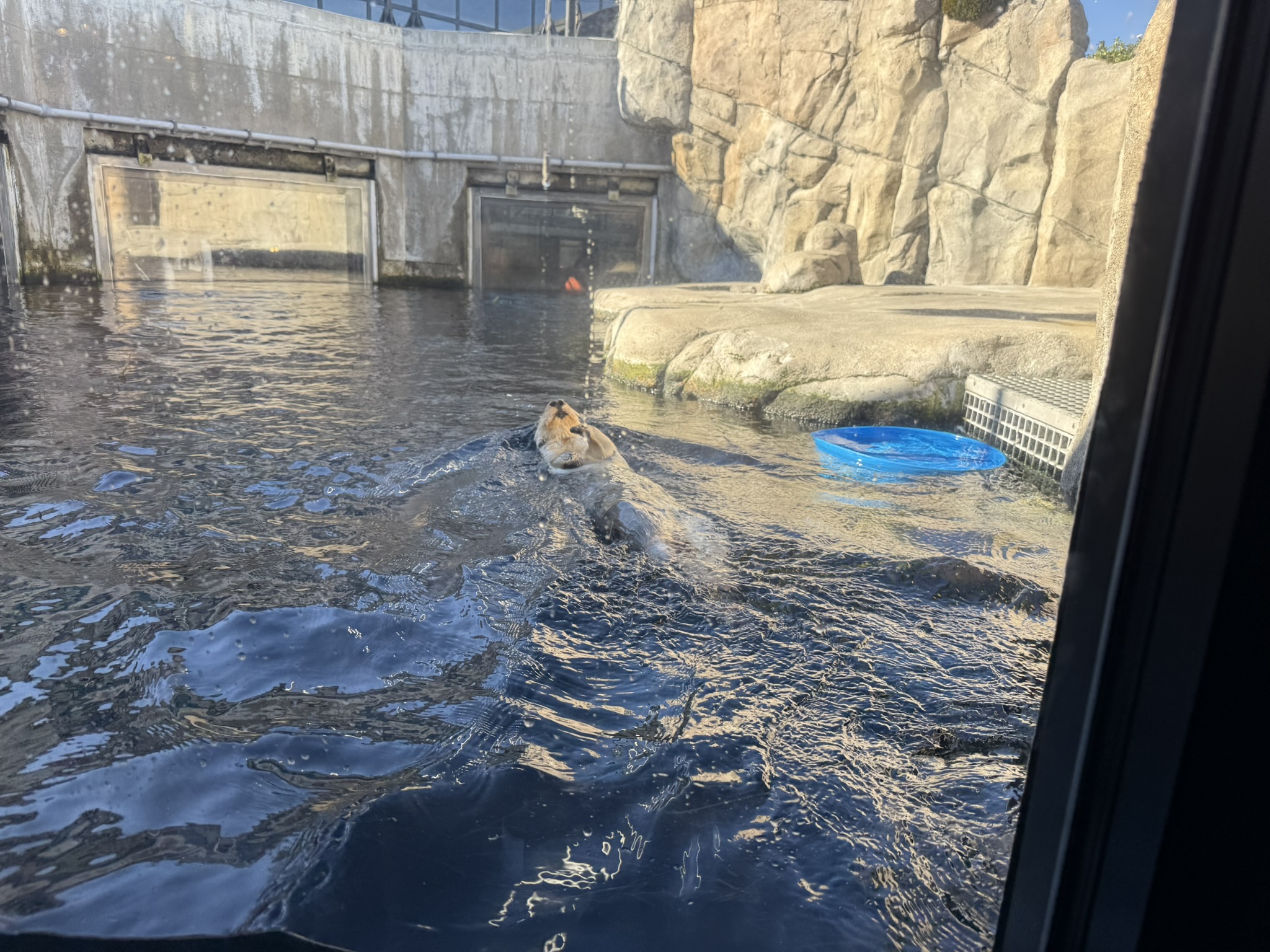 Monterey Bay Aquarium