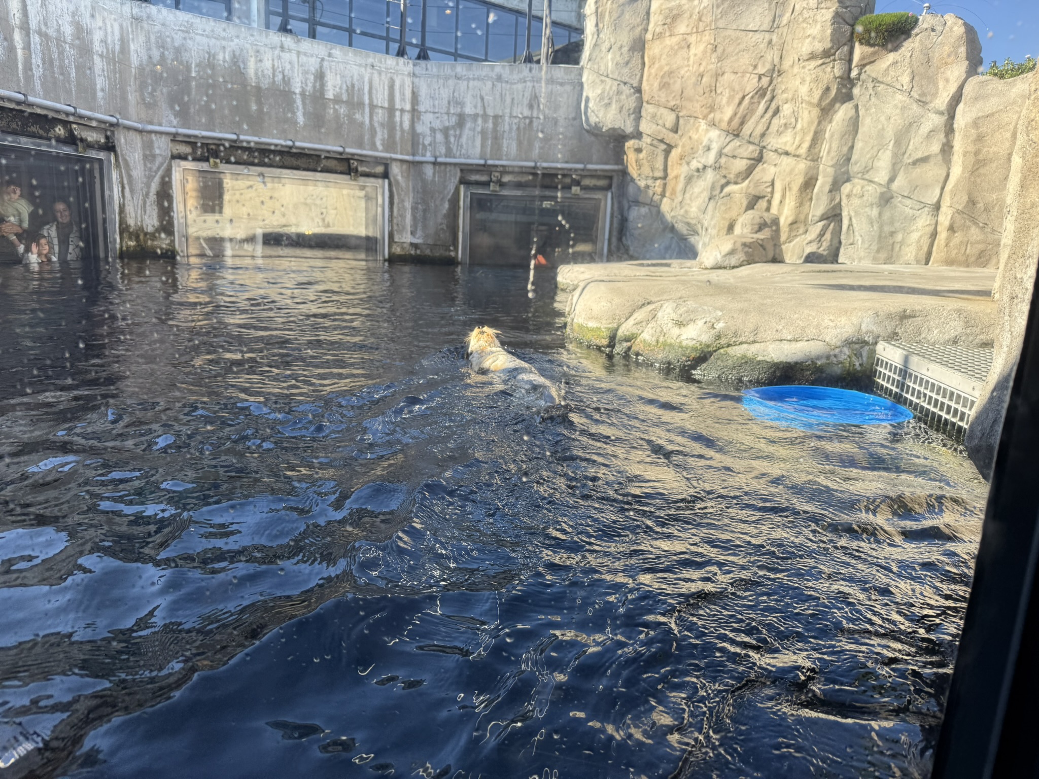 Monterey Bay Aquarium