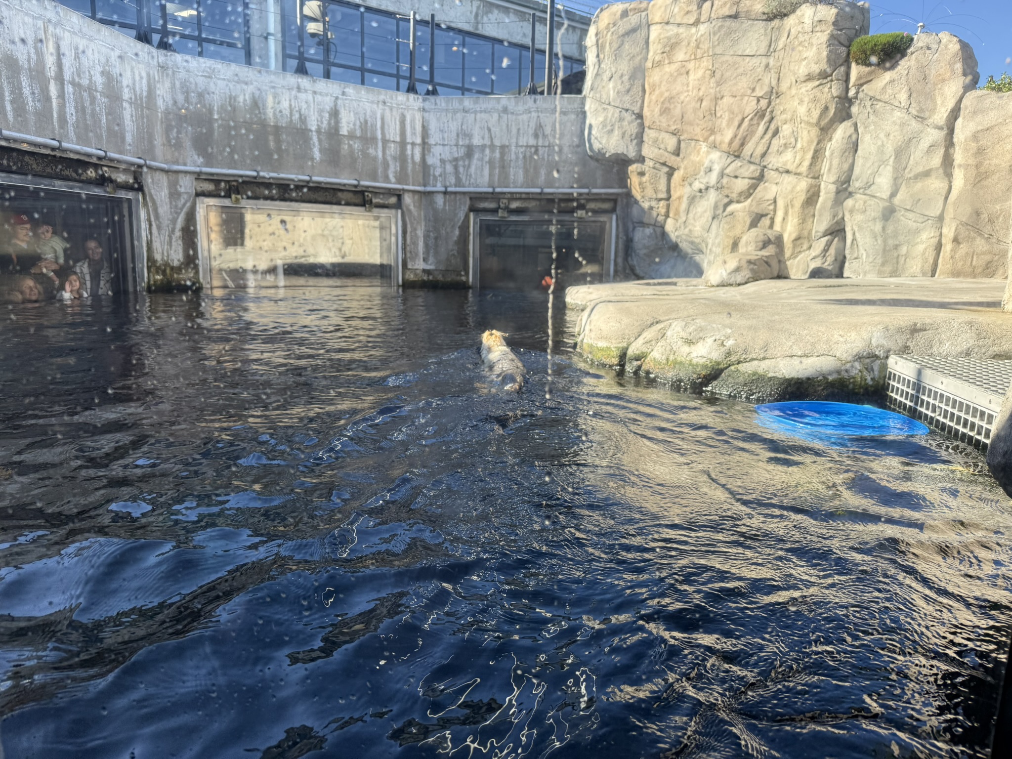 Monterey Bay Aquarium