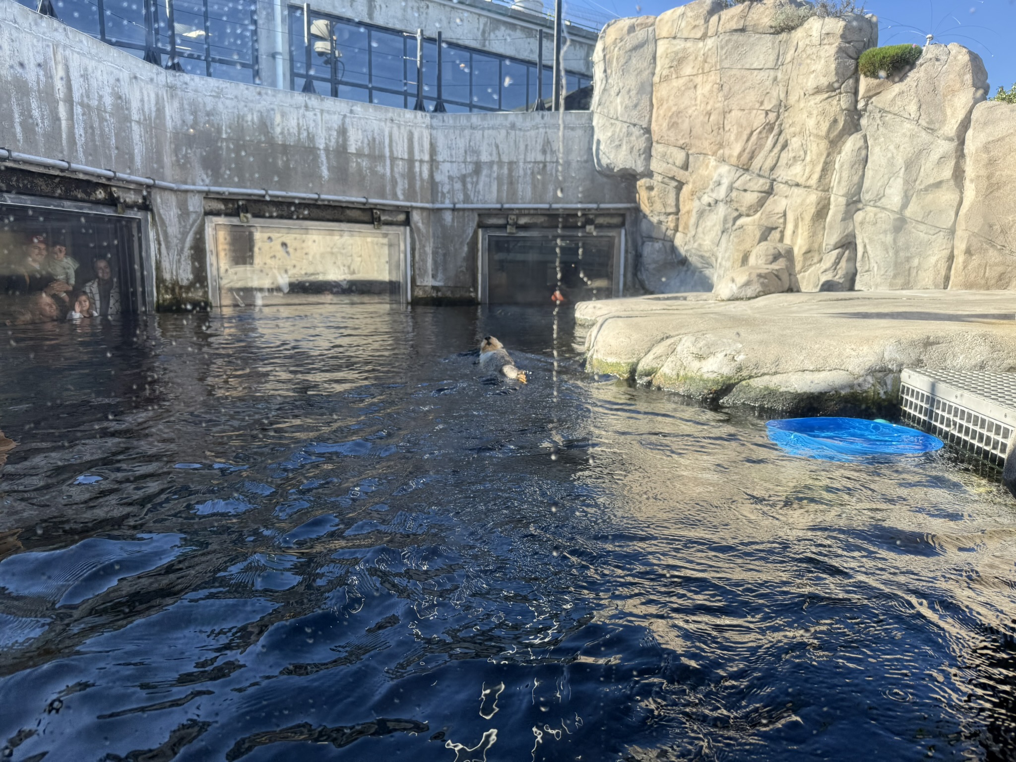 Monterey Bay Aquarium