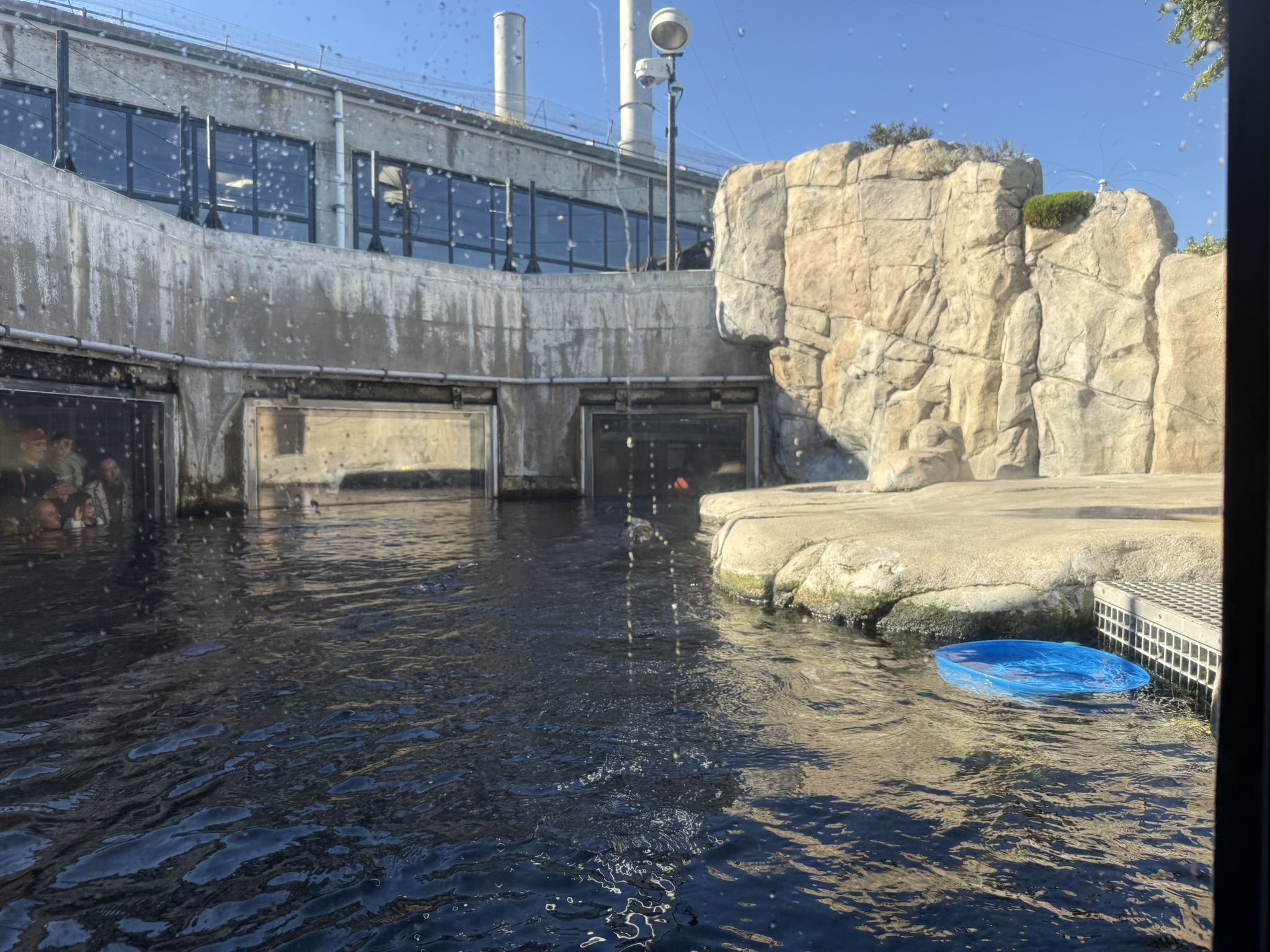 Monterey Bay Aquarium