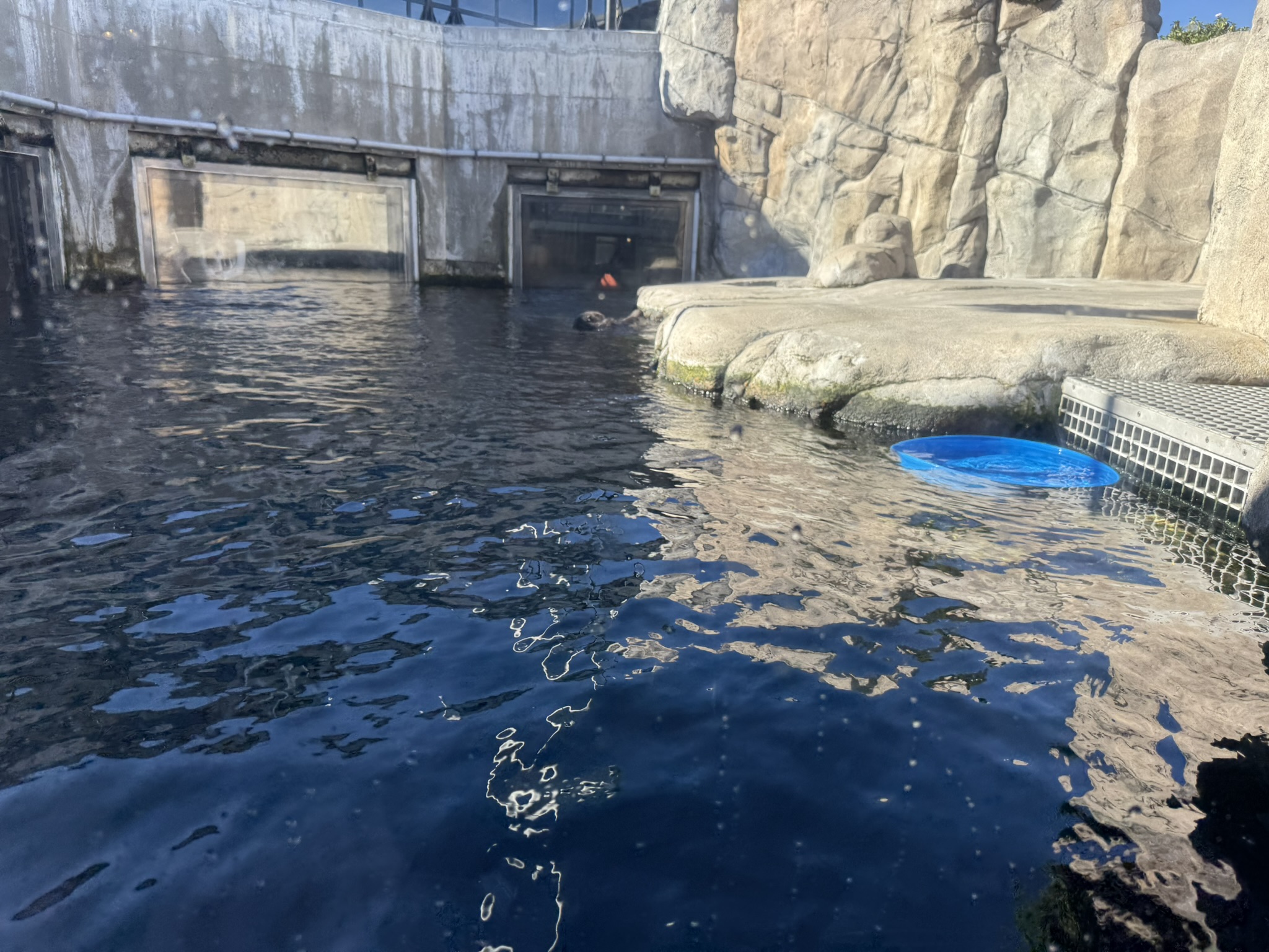 Monterey Bay Aquarium