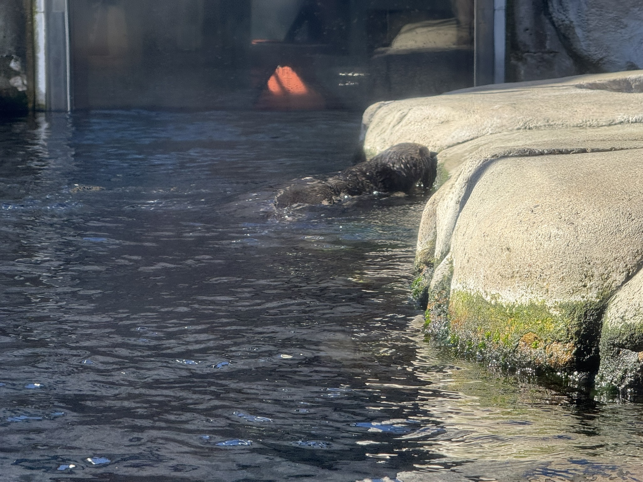 Monterey Bay Aquarium