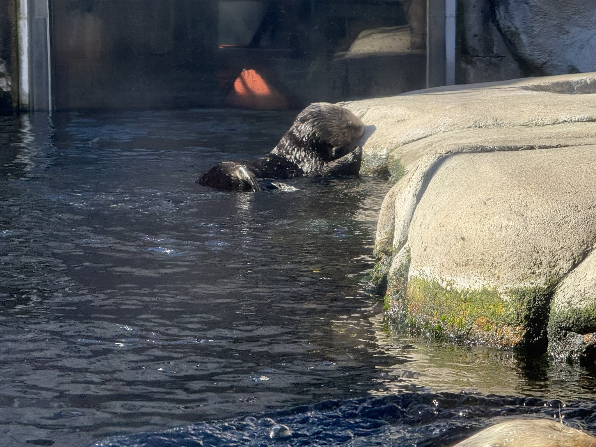 Monterey Bay Aquarium