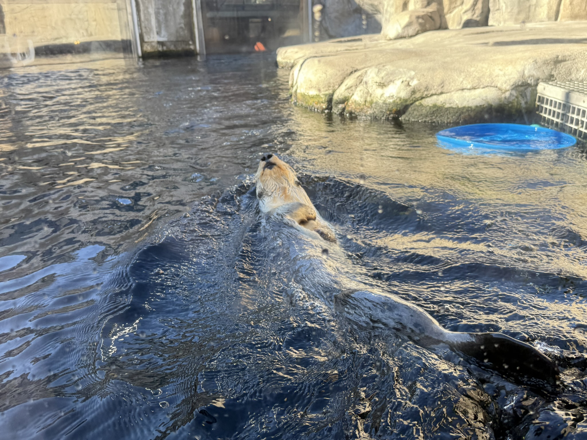 Monterey Bay Aquarium