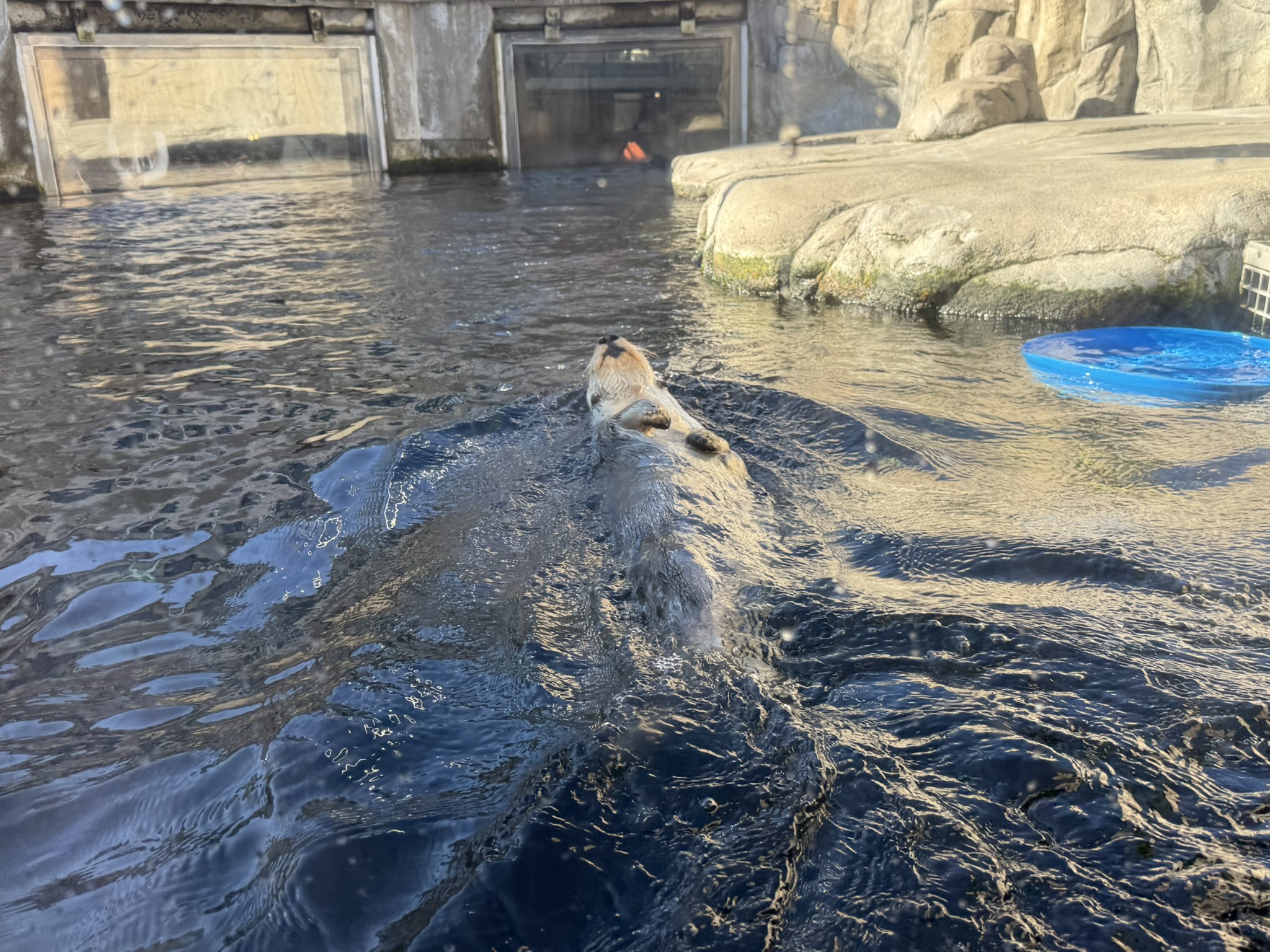 Monterey Bay Aquarium