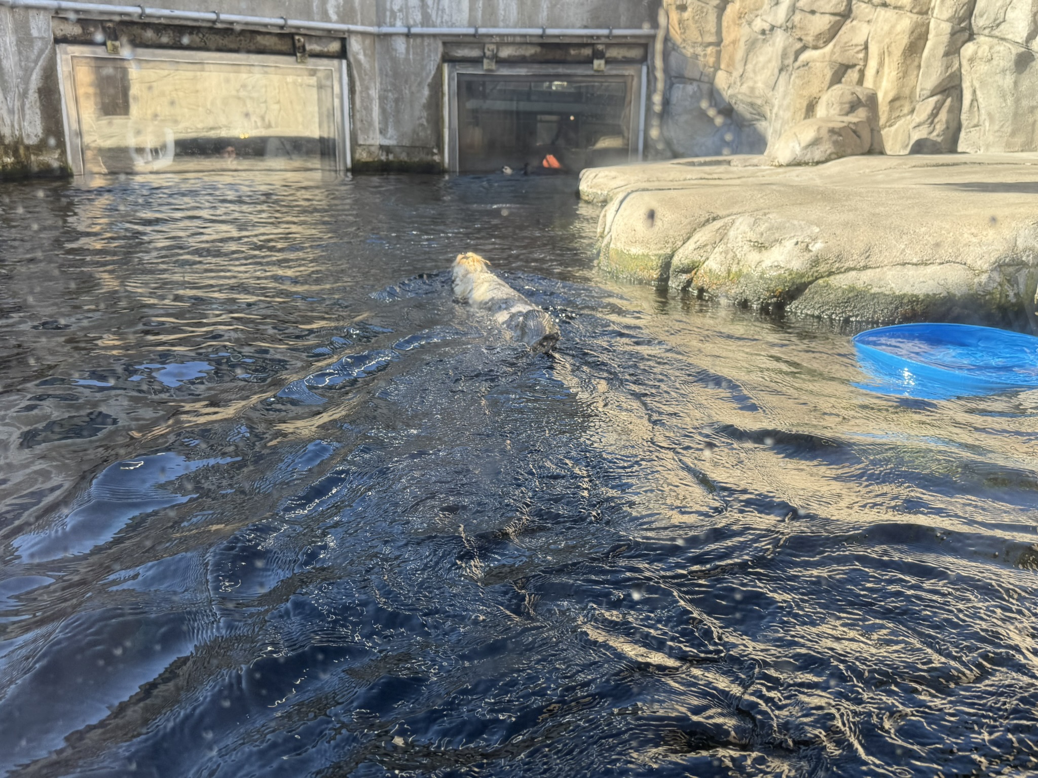 Monterey Bay Aquarium