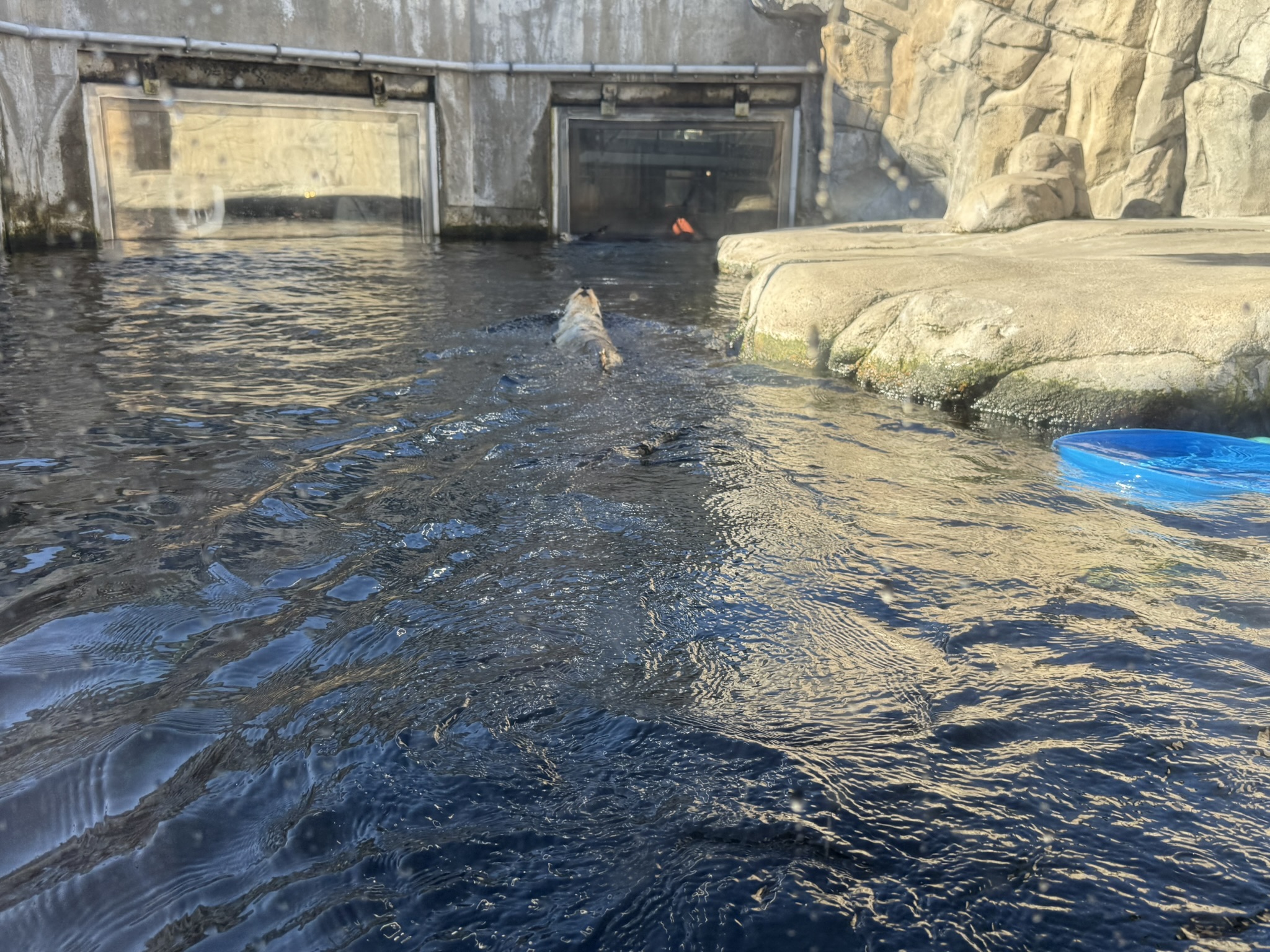 Monterey Bay Aquarium