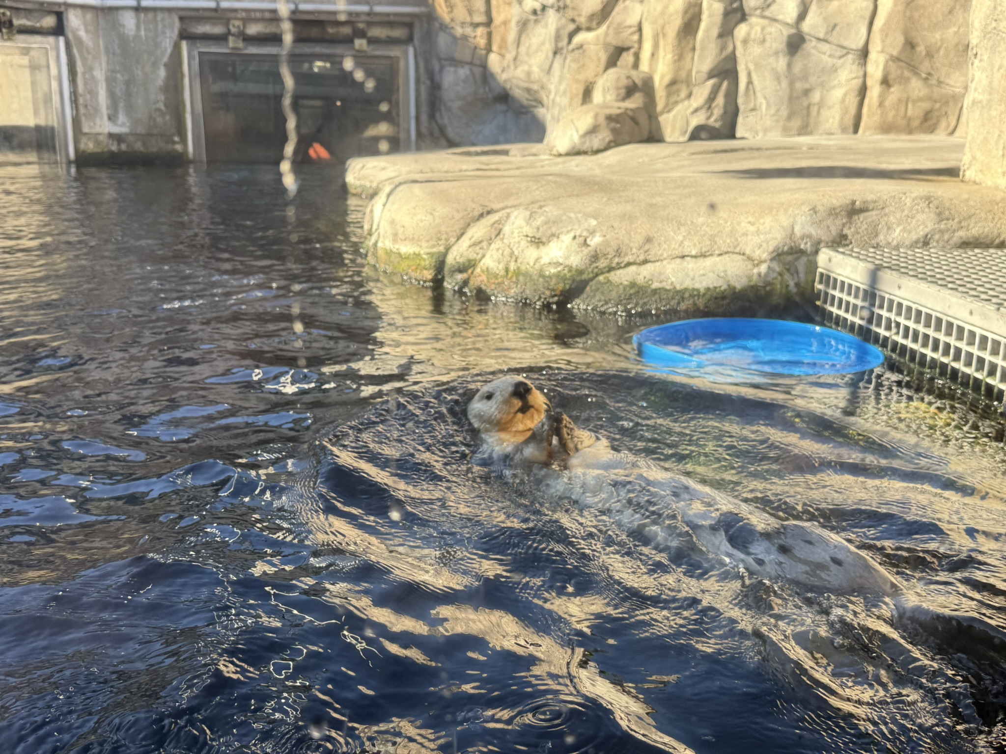 Monterey Bay Aquarium