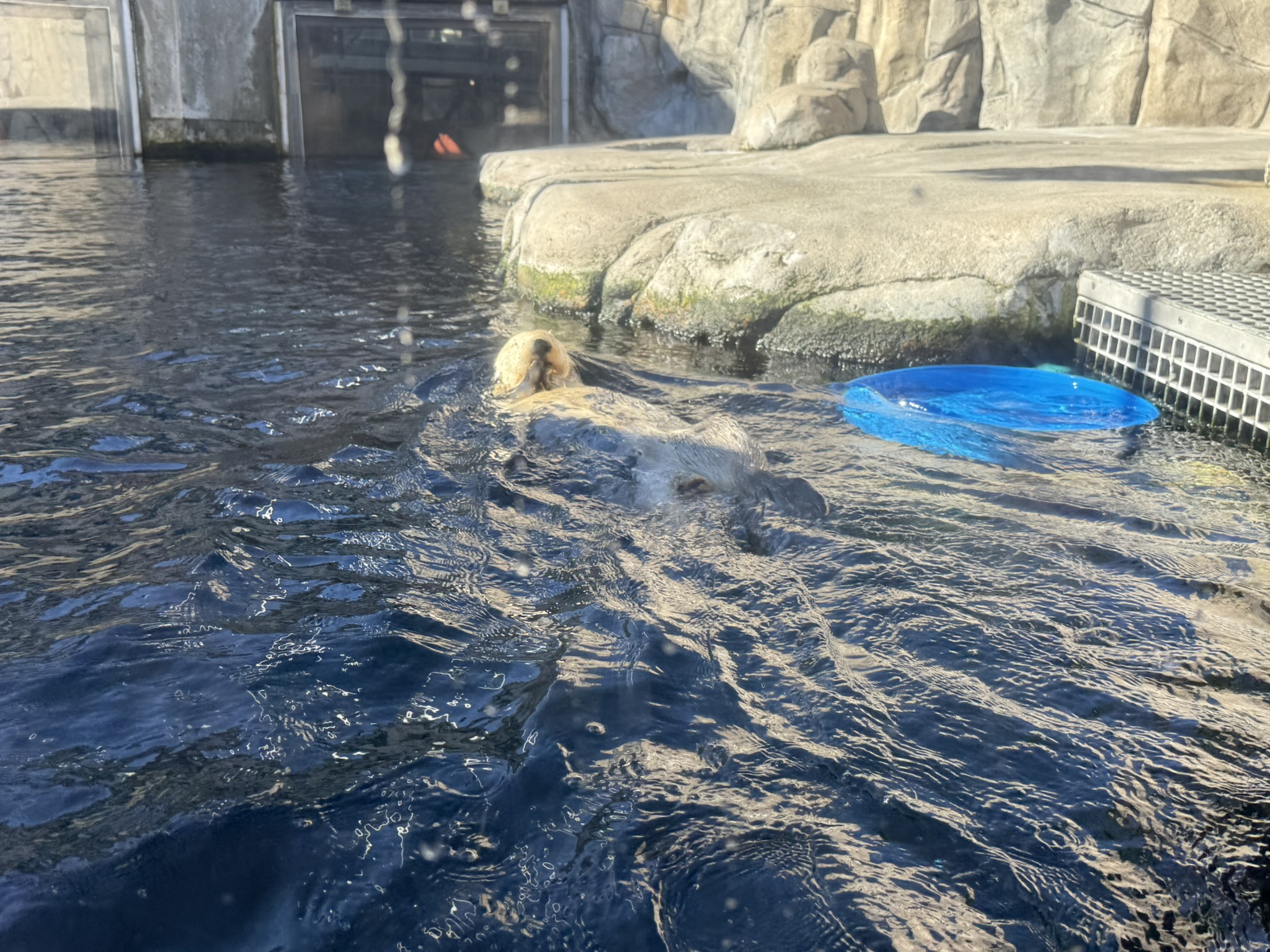 Monterey Bay Aquarium